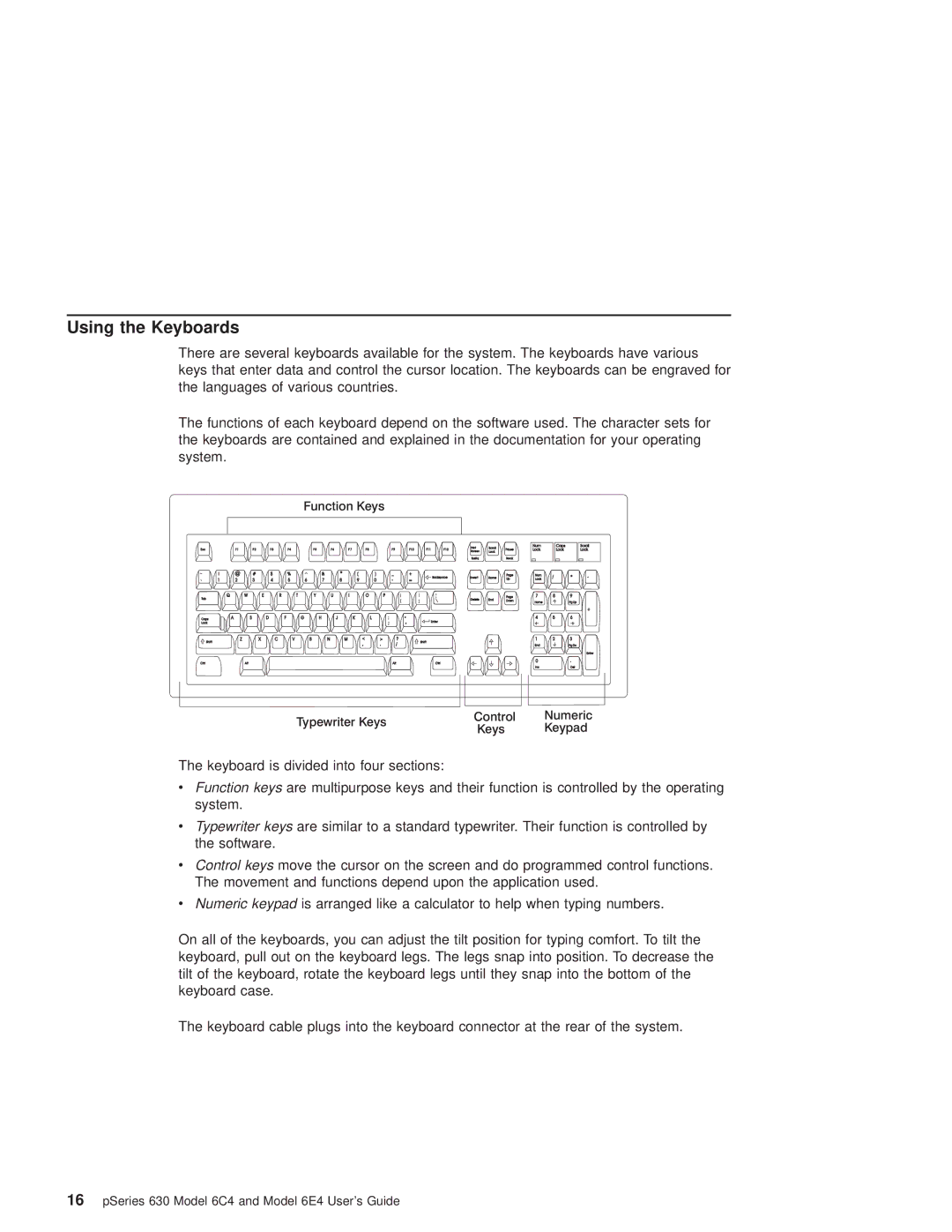 IBM 6C4, 6.00E+04 manual Using the Keyboards, Function Keys 