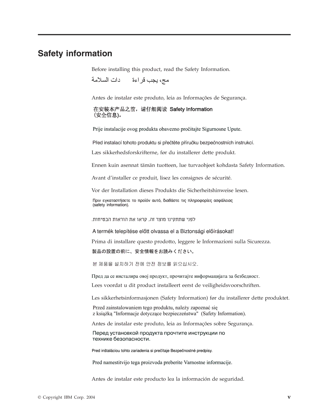 IBM 73P3297 manual Safety information 