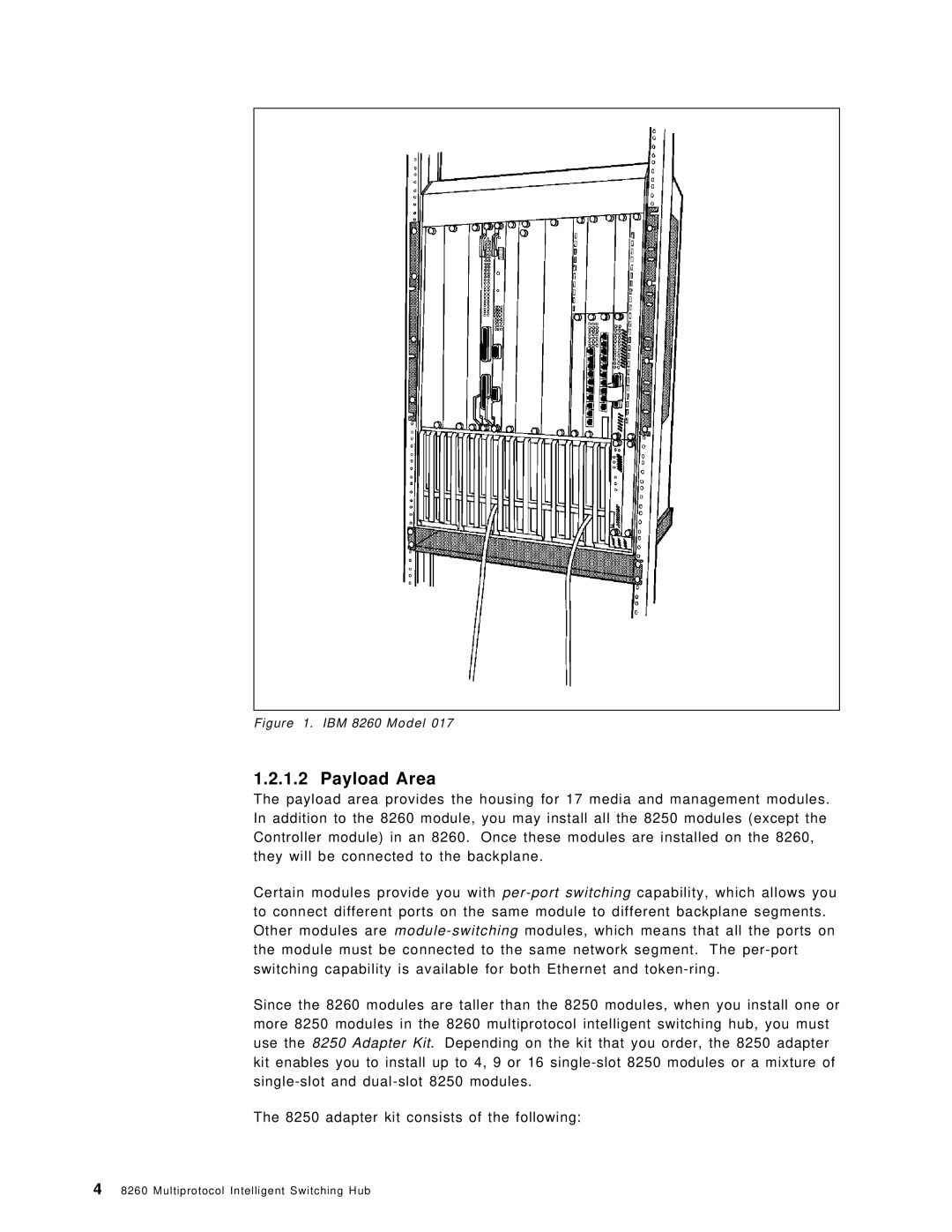 IBM manual Payload Area, IBM 8260 Model 