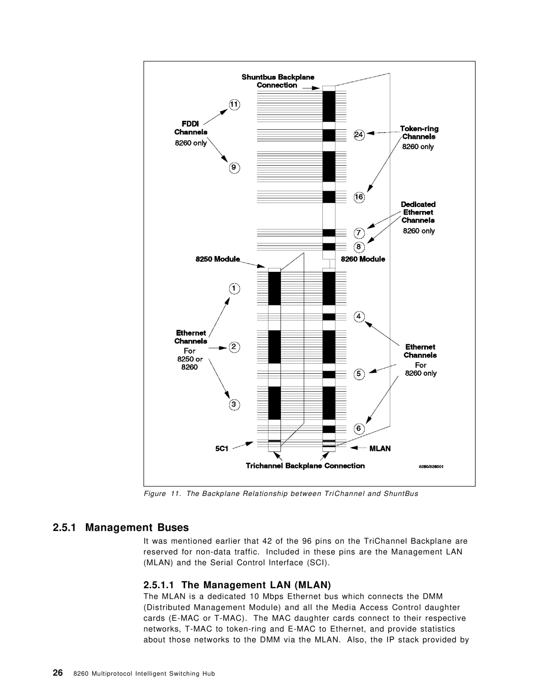 IBM 8260 manual Management Buses, Management LAN Mlan 