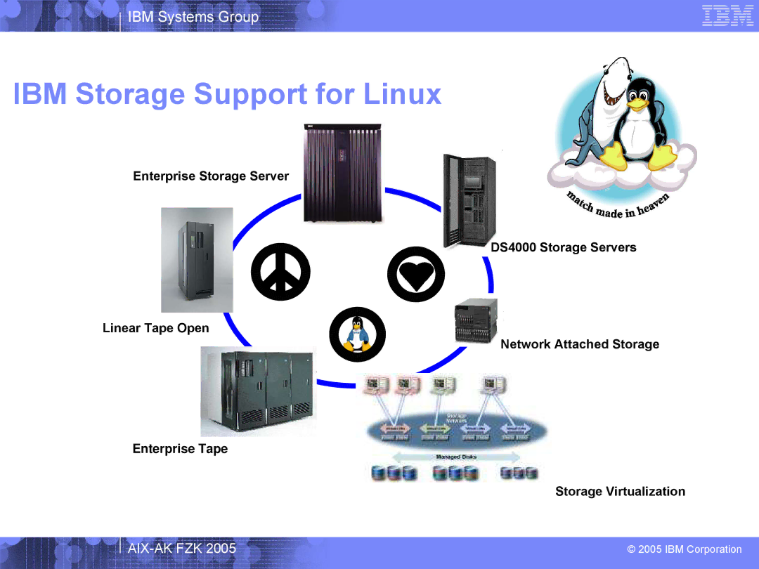 IBM AIX-AK FZK 2005 manual IBM Storage Support for Linux 