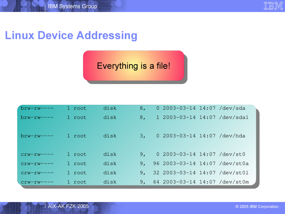 IBM AIX-AK FZK 2005 manual Linux Device Addressing, Everything is a file 