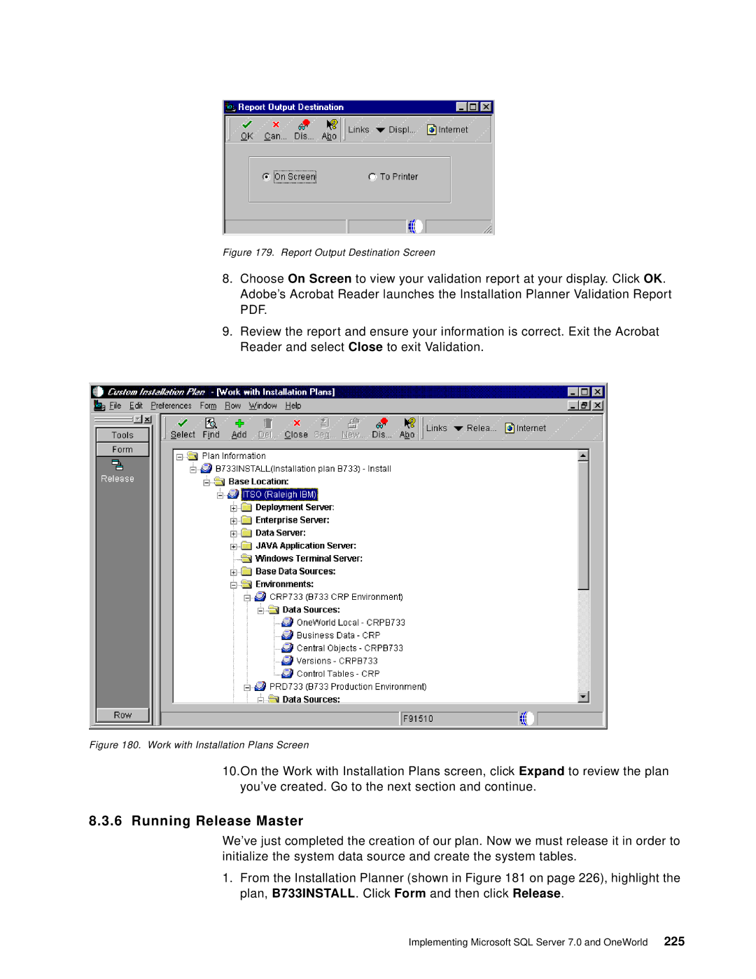 IBM B73.3 manual Running Release Master 