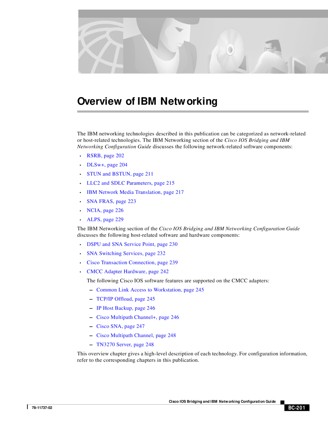 IBM BC-201 manual Overview of IBM Networking 