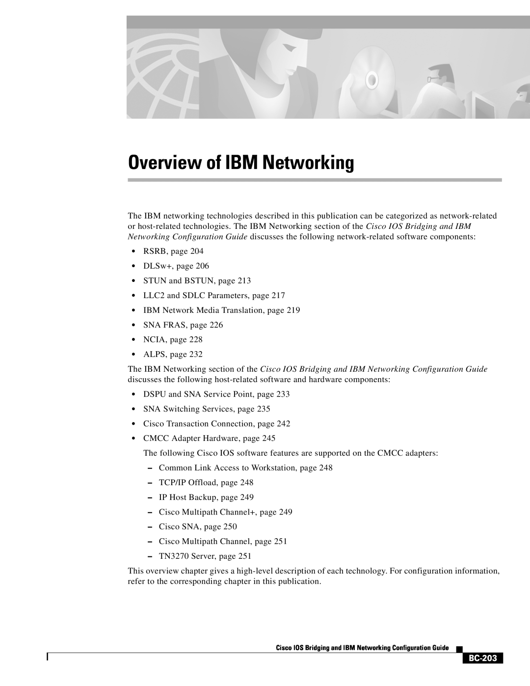 IBM BC-203 manual Overview of IBM Networking 