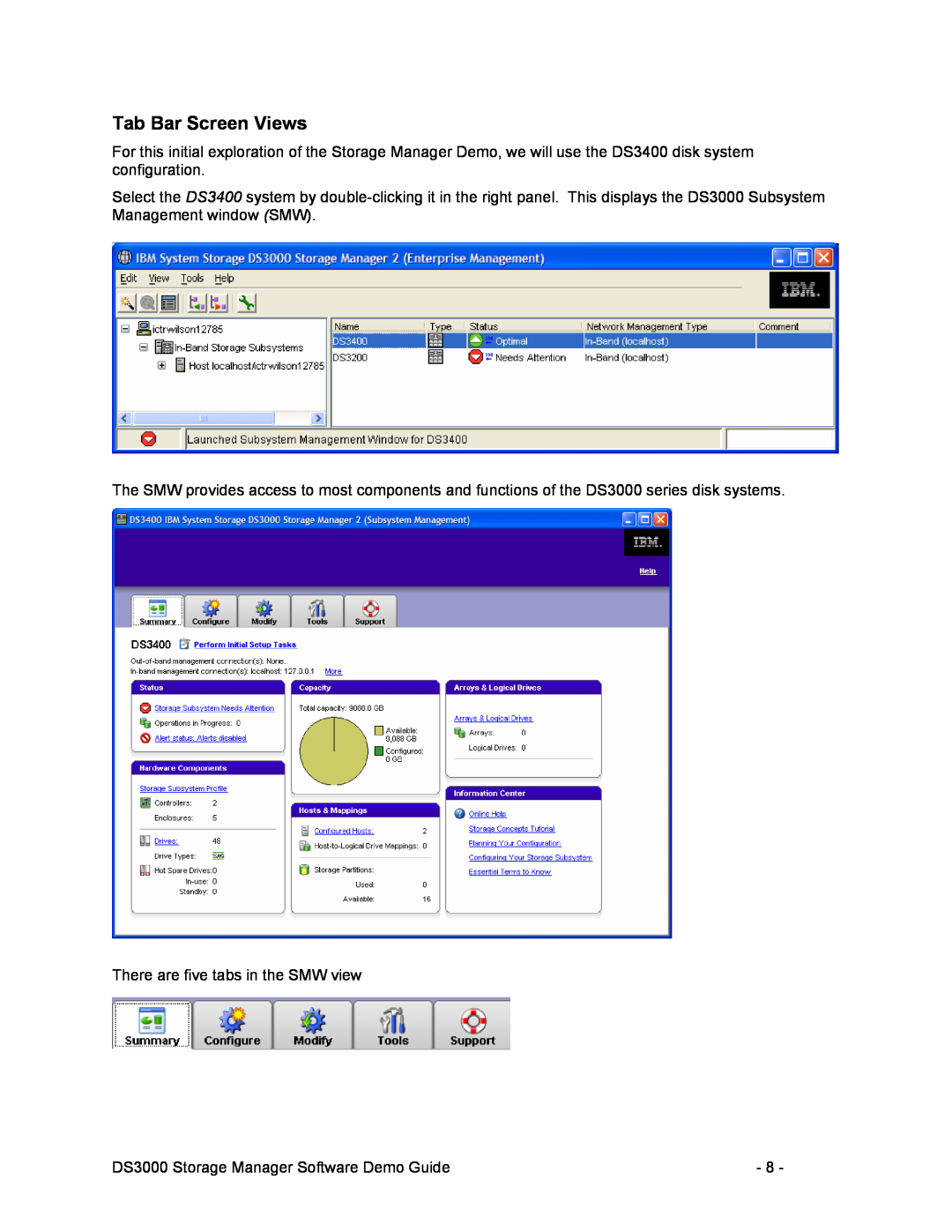 IBM DS3000 manual Tab Bar Screen Views 