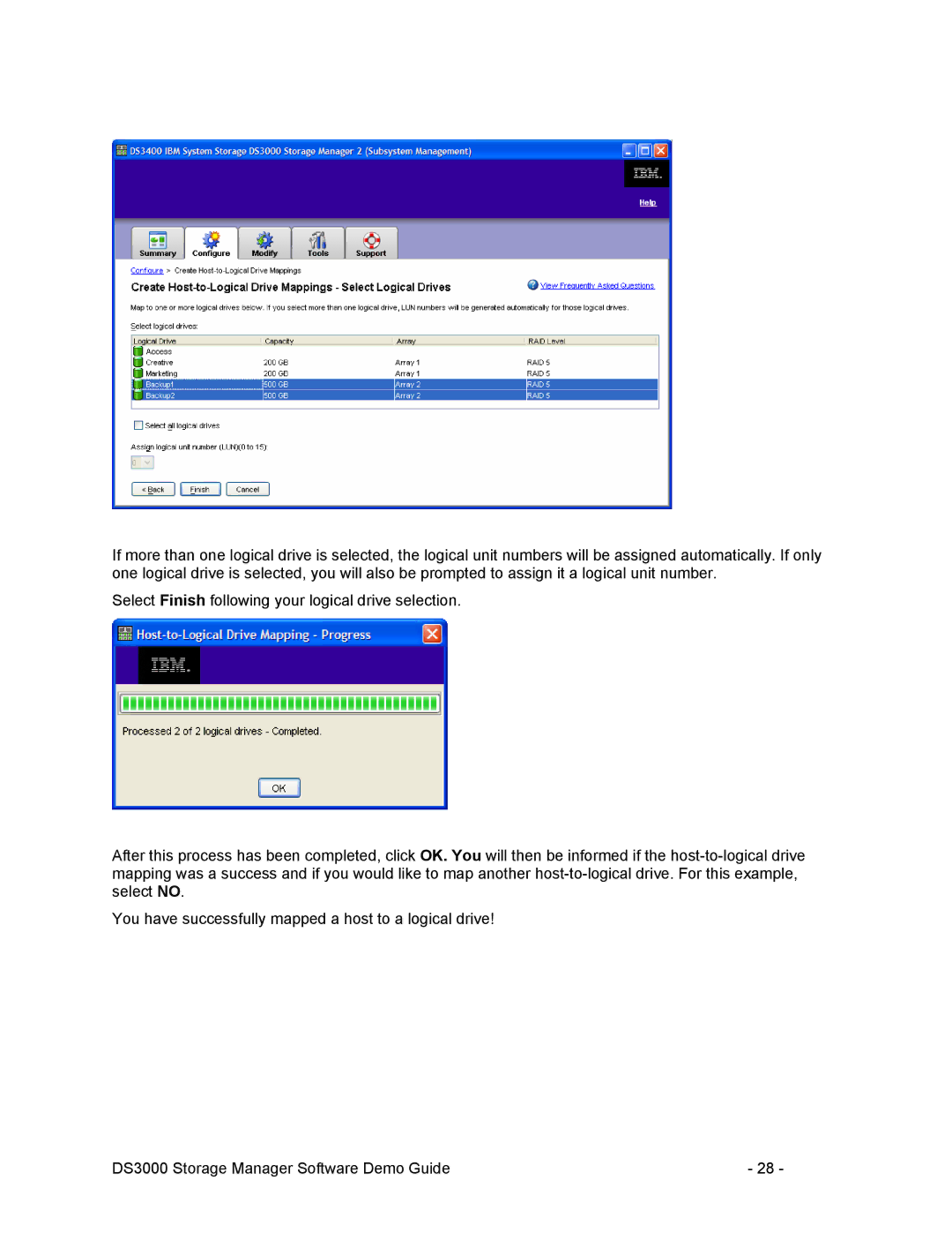 IBM DS3000 manual 