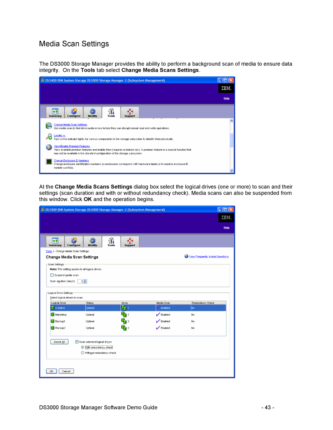 IBM DS3000 manual Media Scan Settings 