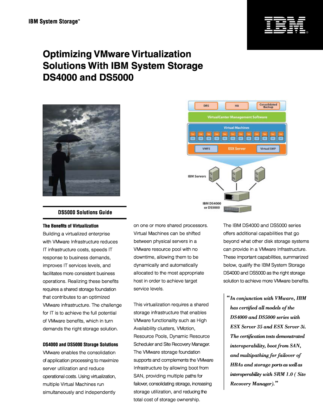 IBM manual The Benefits of Virtualization, DS4000 and DS5000 Storage Solutions, IBM System StorageTM 