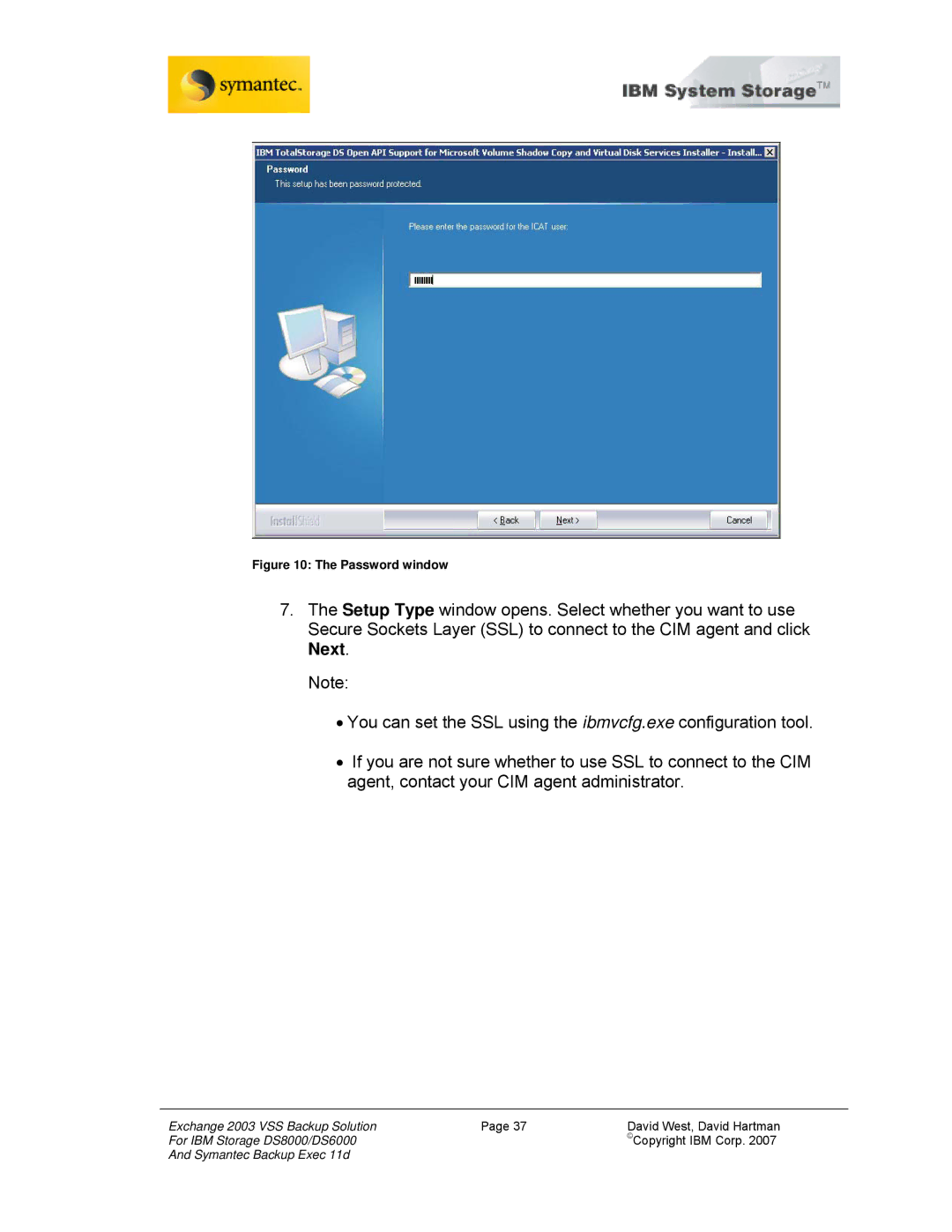 IBM DS6000, DS8000 manual Password window 