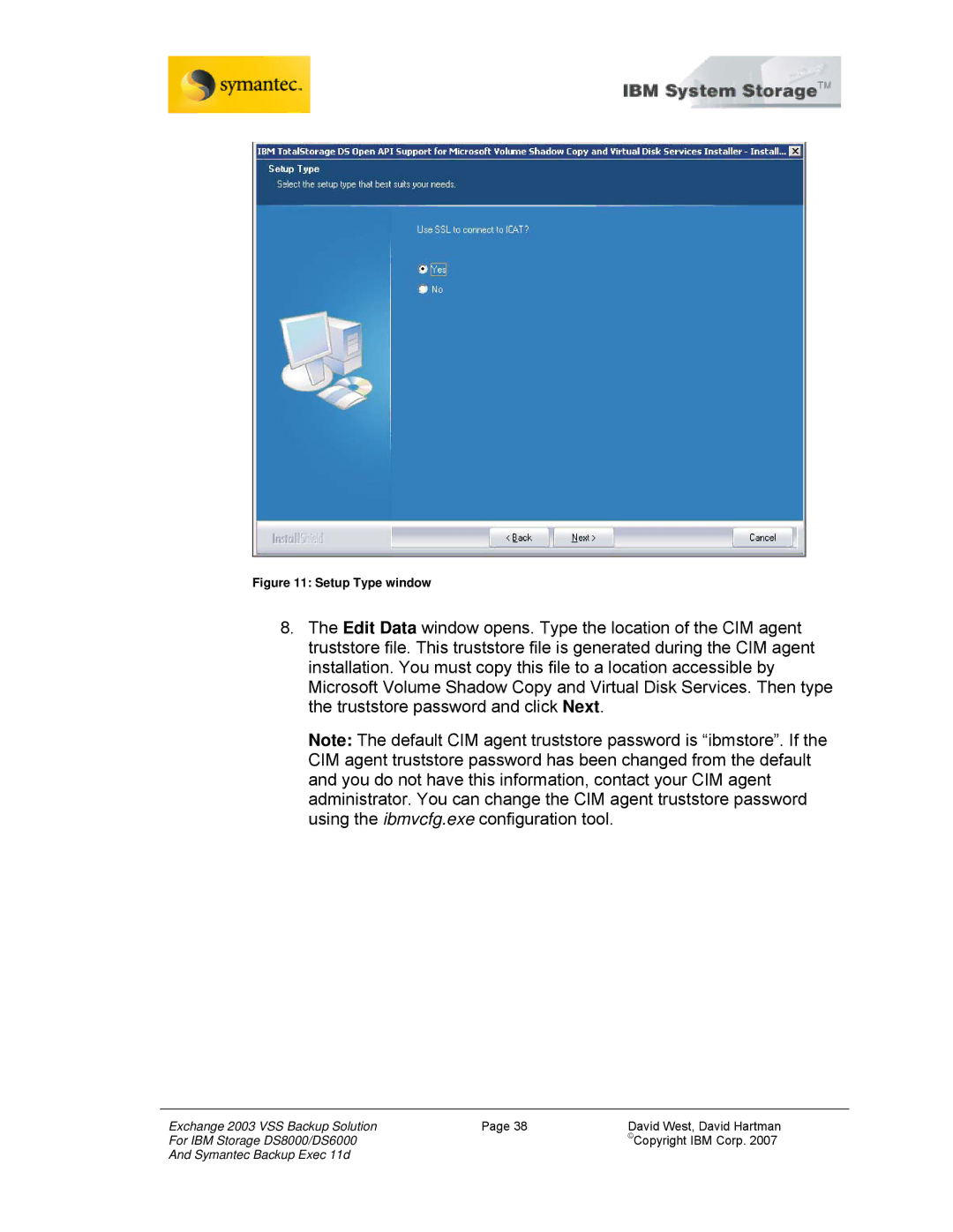 IBM DS8000, DS6000 manual Setup Type window 