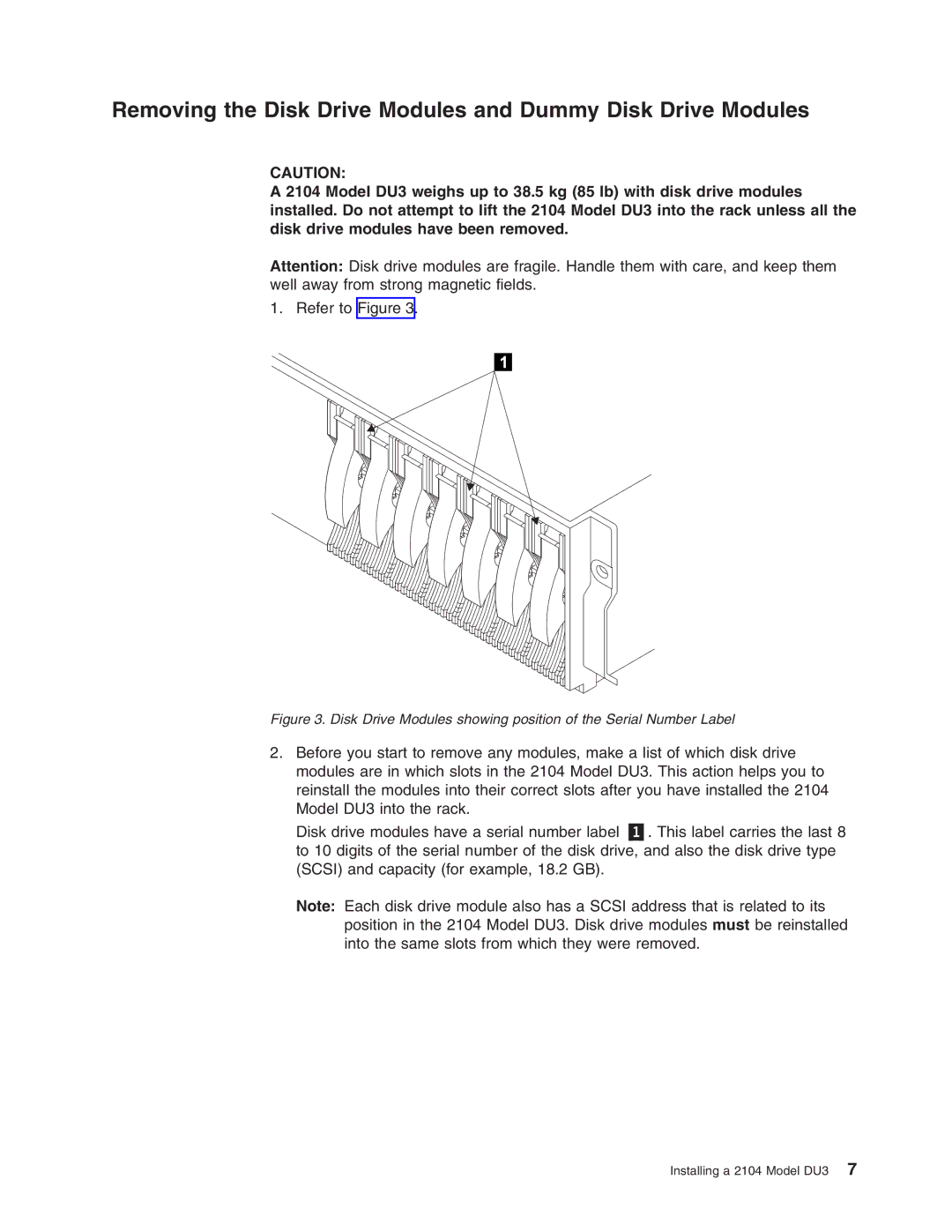 IBM DU3 manual Removing the Disk Drive Modules and Dummy Disk Drive Modules 