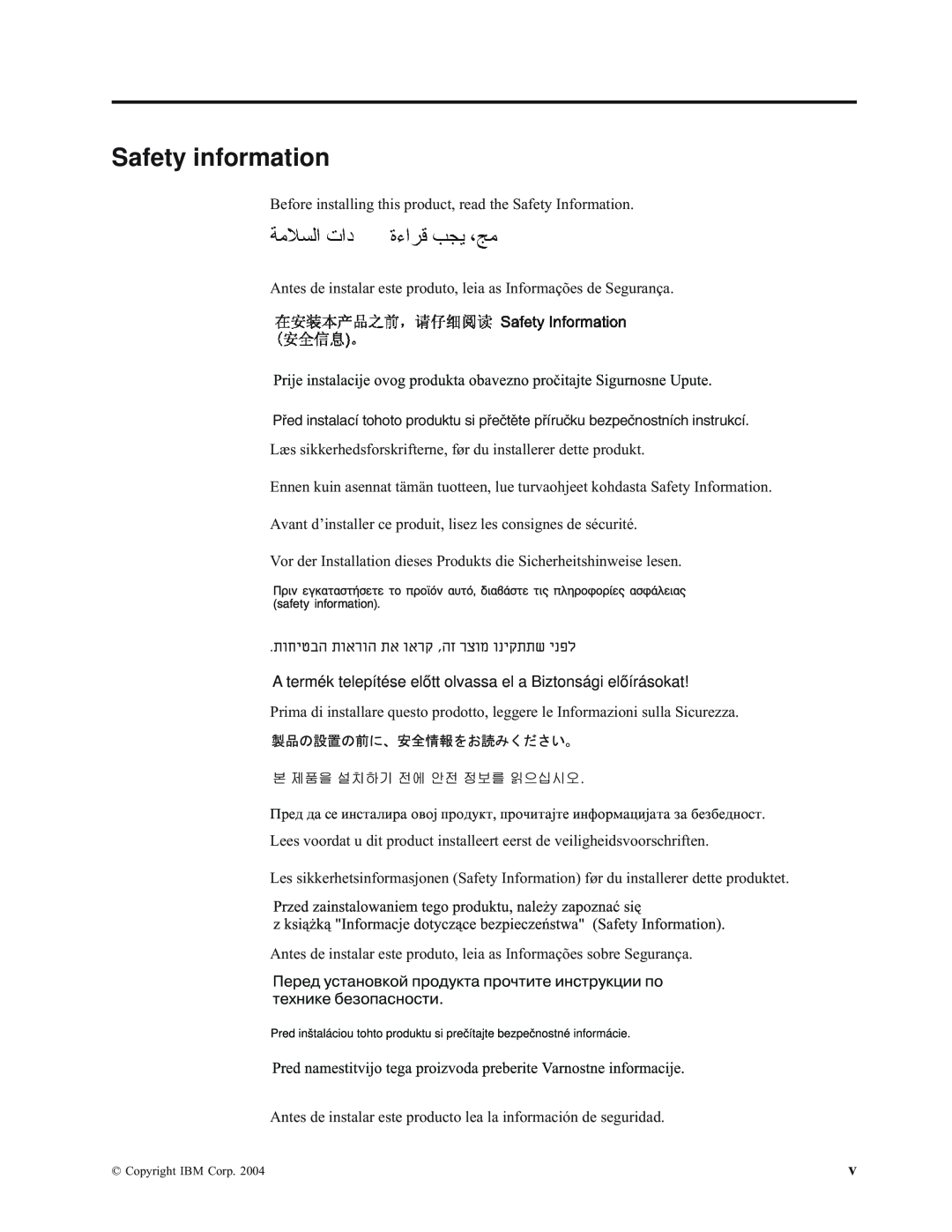 IBM E400 manual Safety information 