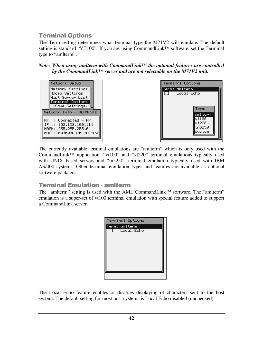 IBM M71V2 manual Terminal Options, Terminal Emulation amlterm 