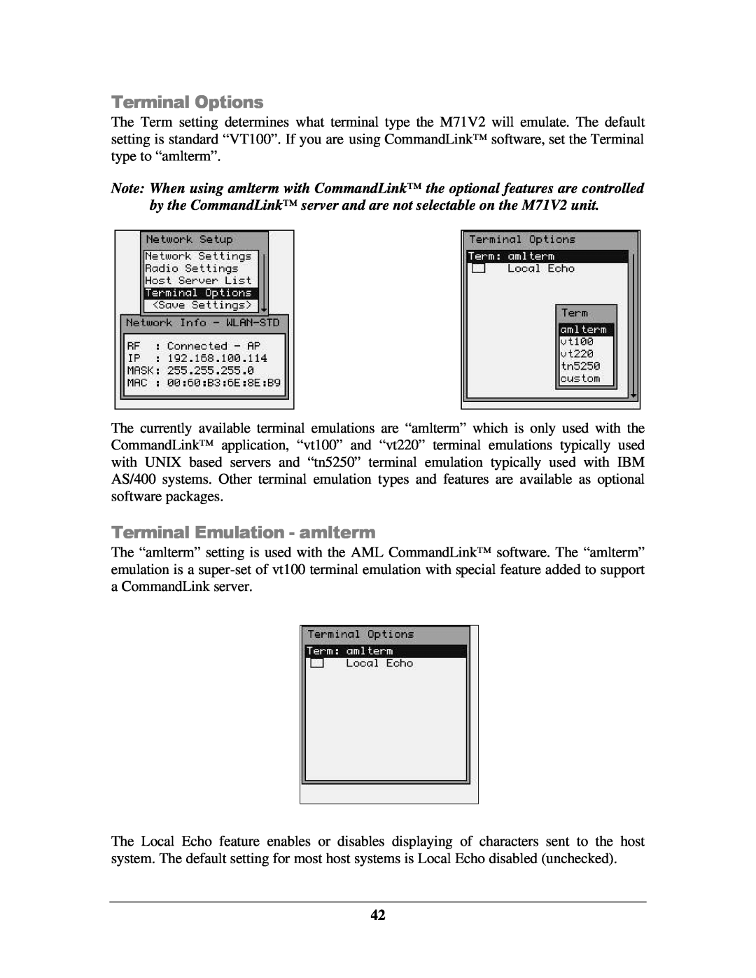 IBM M71V2 manual Terminal Options, Terminal Emulation - amlterm 