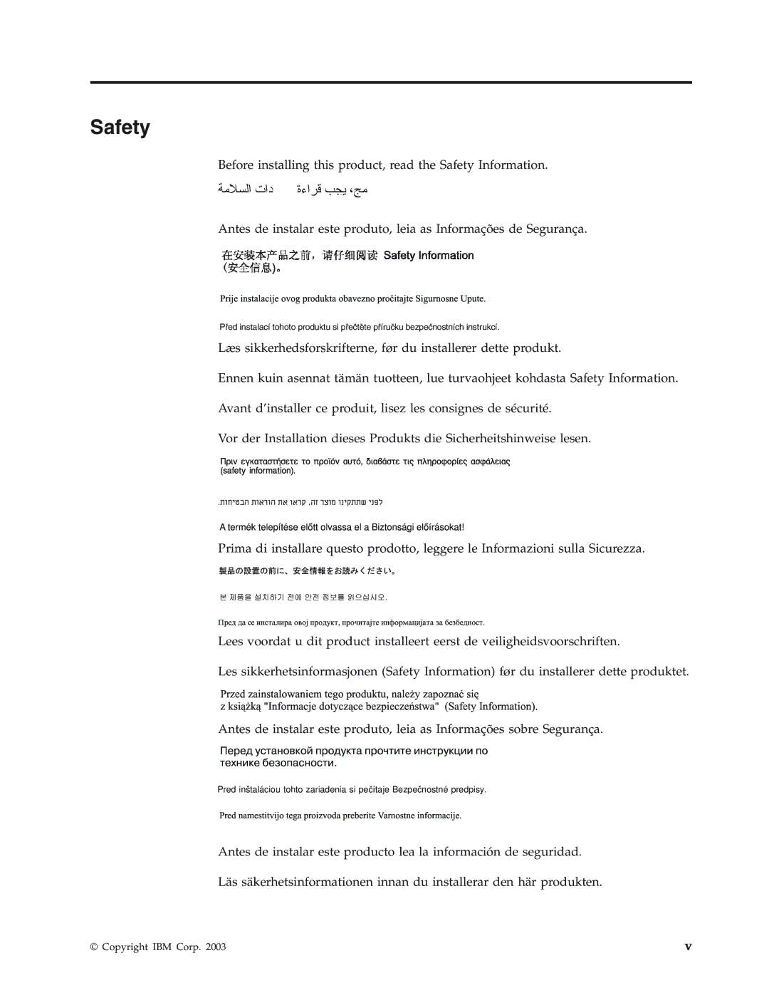 IBM Partner Pavilion iLC300 manual Safety 