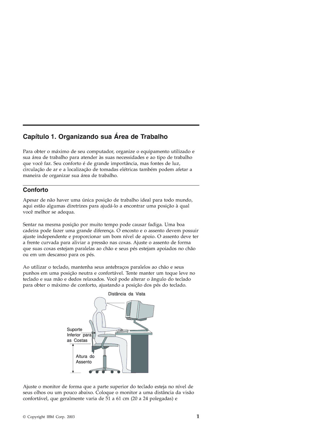 IBM Personal Computer manual Capítulo 1. Organizando sua Área de Trabalho, Conforto 