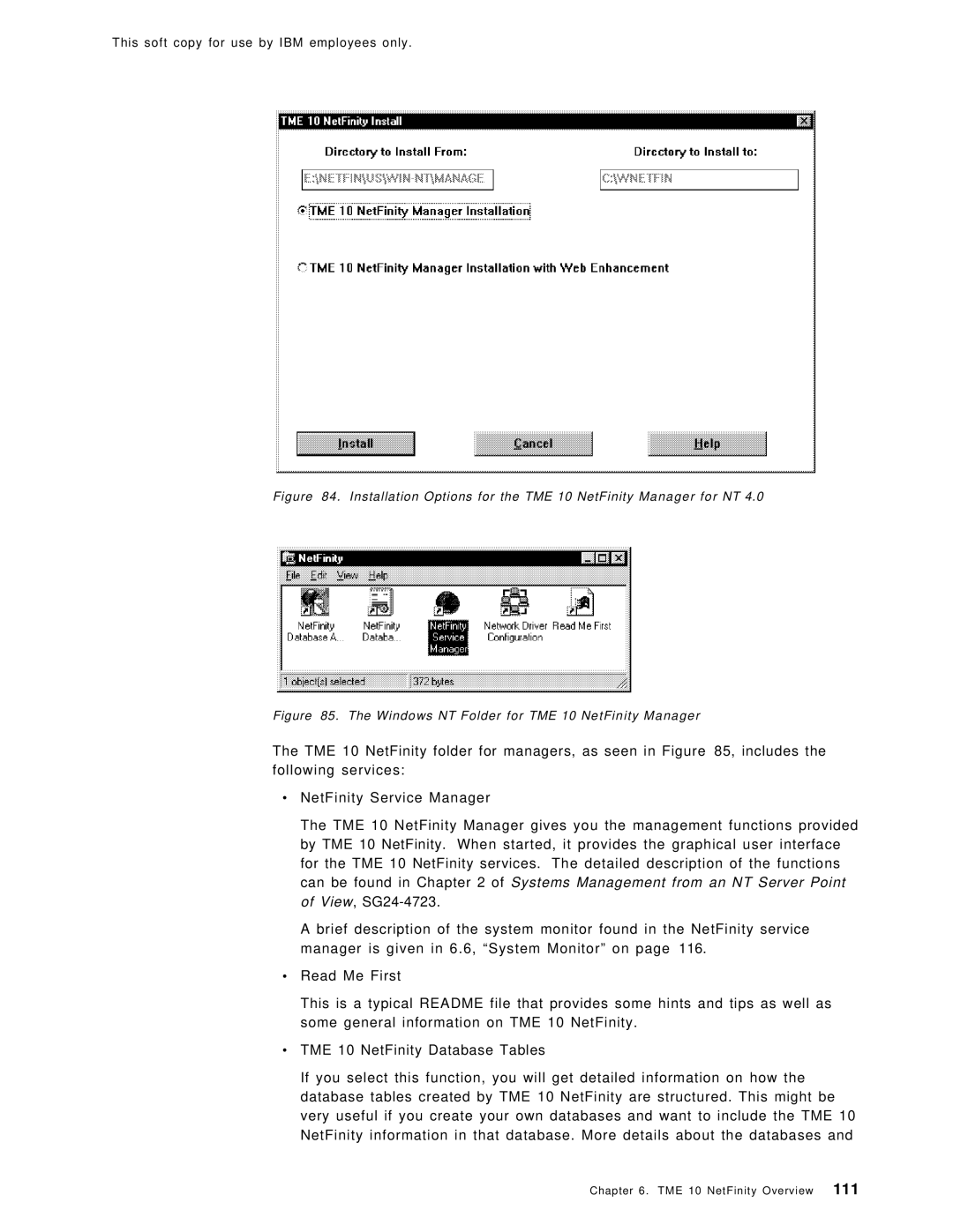 IBM SG24-4763-00 manual Installation Options for the TME 10 NetFinity Manager for NT 