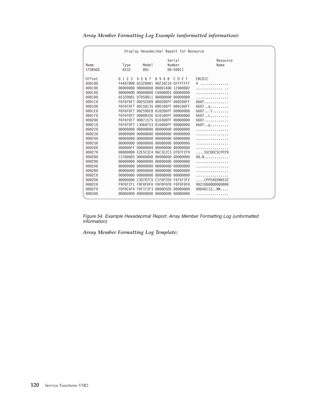 IBM SY44-5902-05 manual Array Member Formatting Log Example unformatted information 