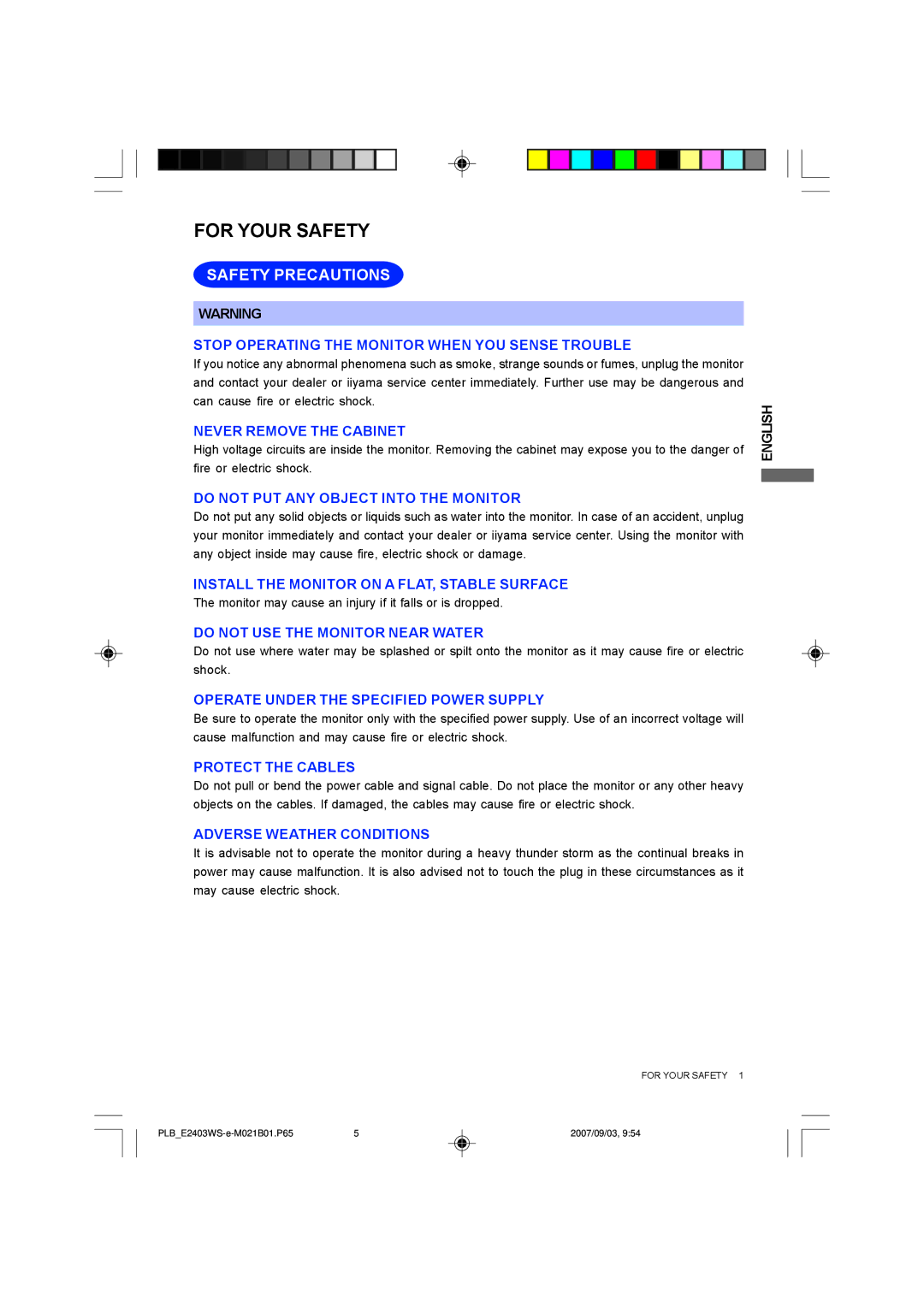 Iiyama B2403WS, E2403WS user manual For Your Safety, Safety Precautions 