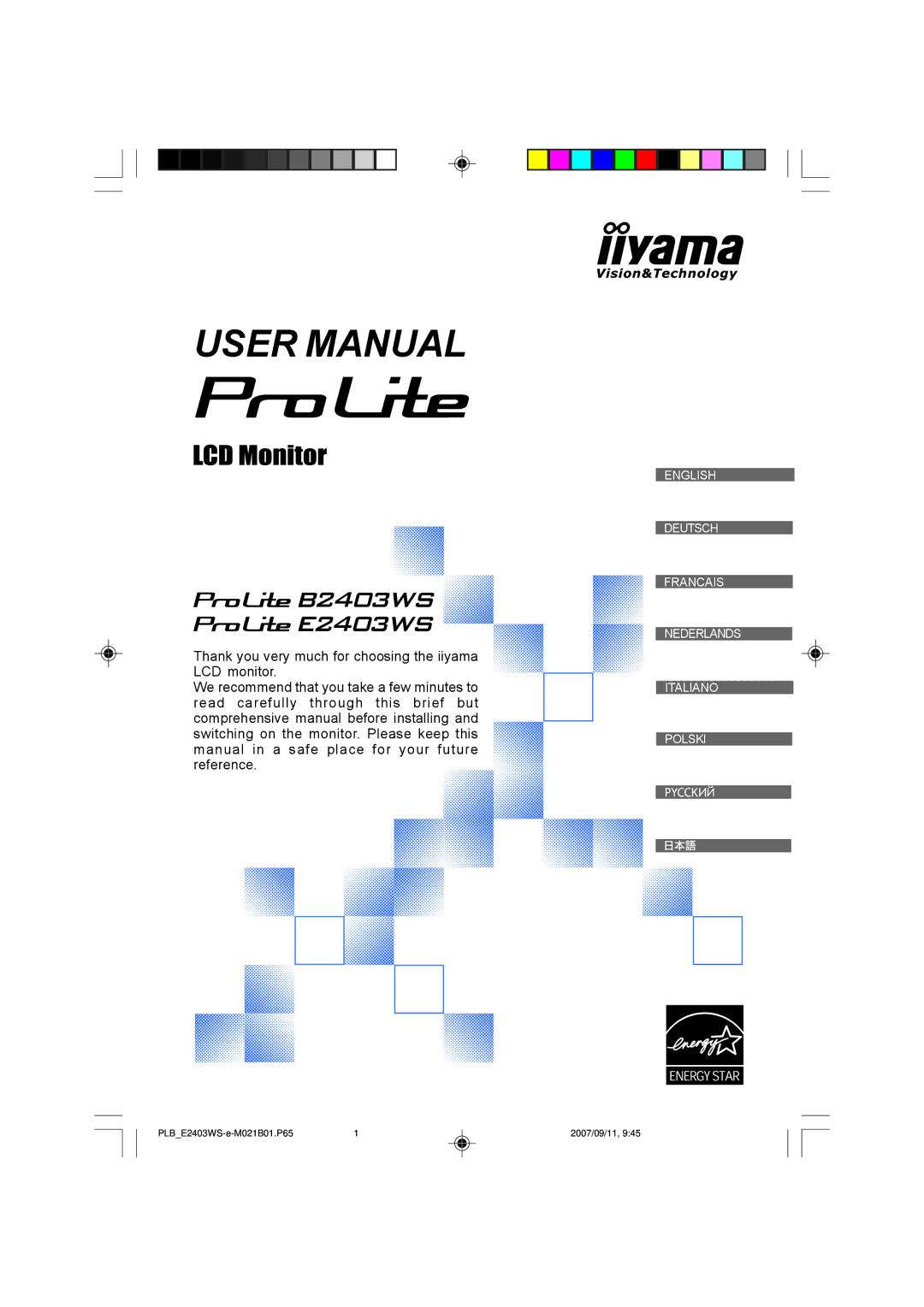 Iiyama B2403WS, E2403WS user manual English Deutsch Francais Nederlands Italiano Polski 