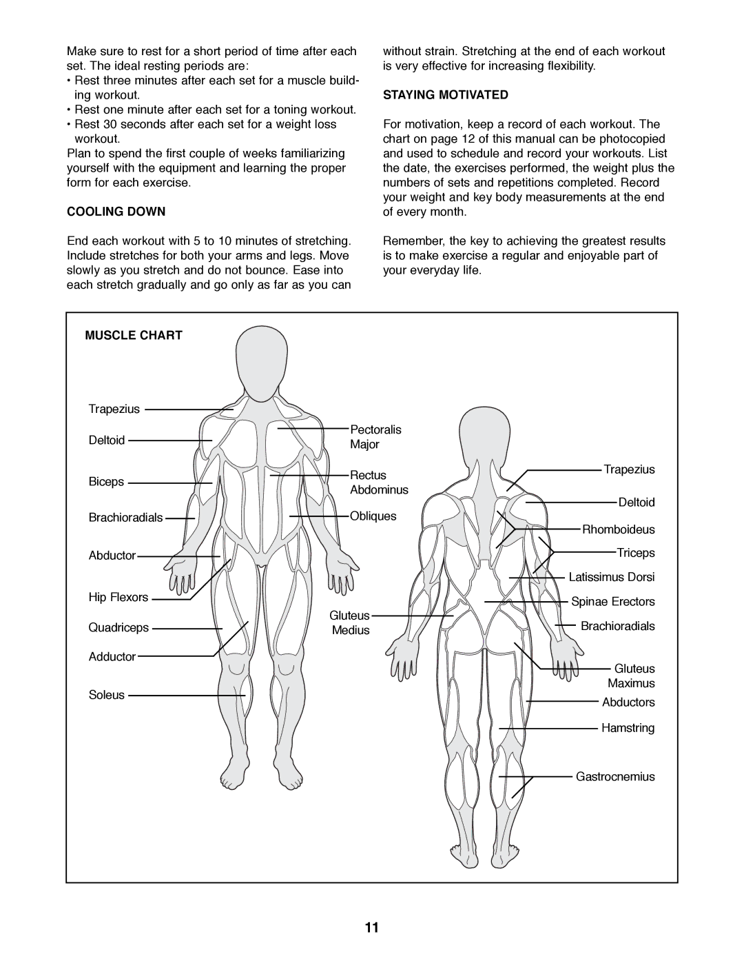 Image IMBE12500 manual Cooling Down, Staying Motivated, Muscle Chart 