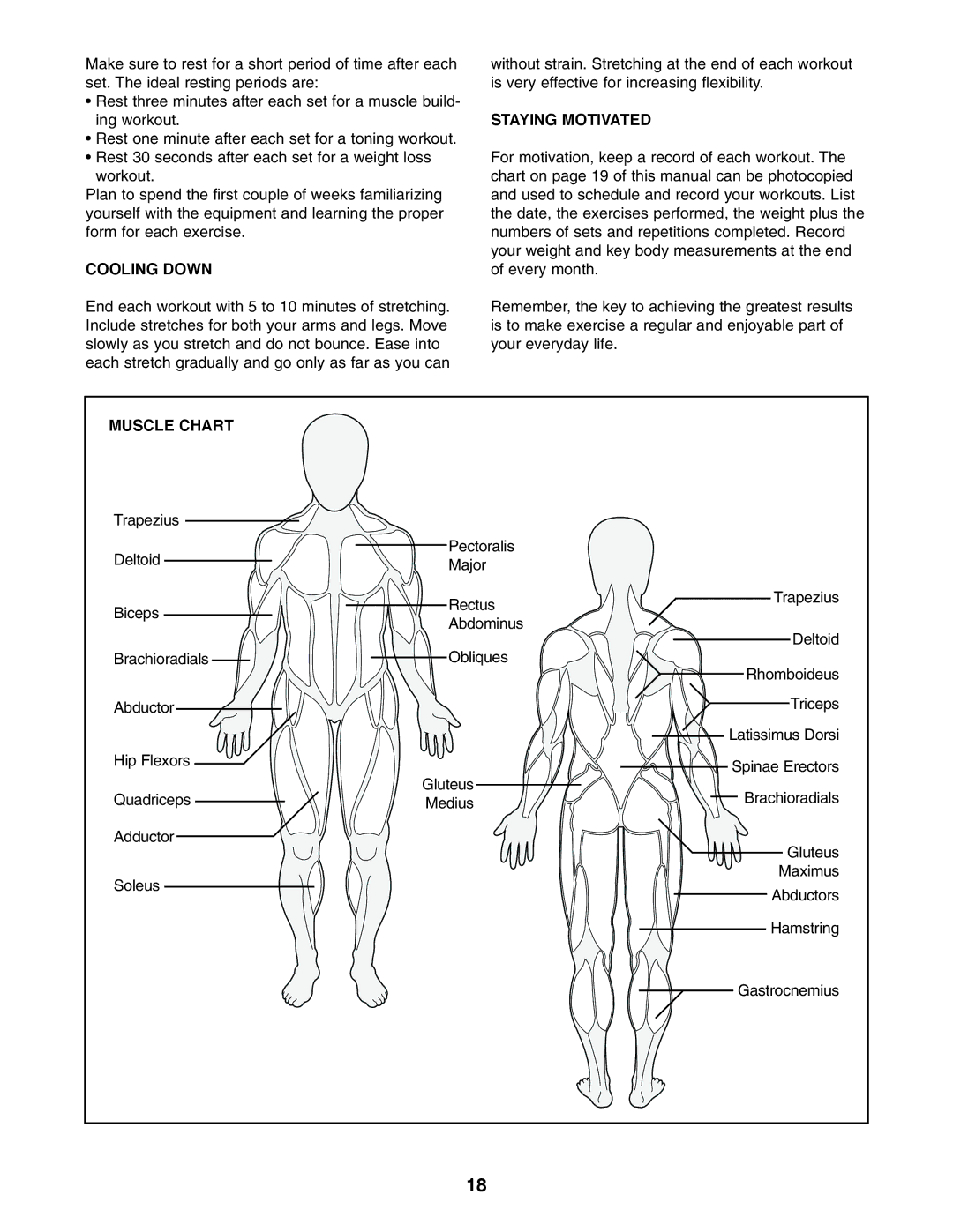 Image IMBE39400 user manual Cooling Down, Staying Motivated, Muscle Chart 