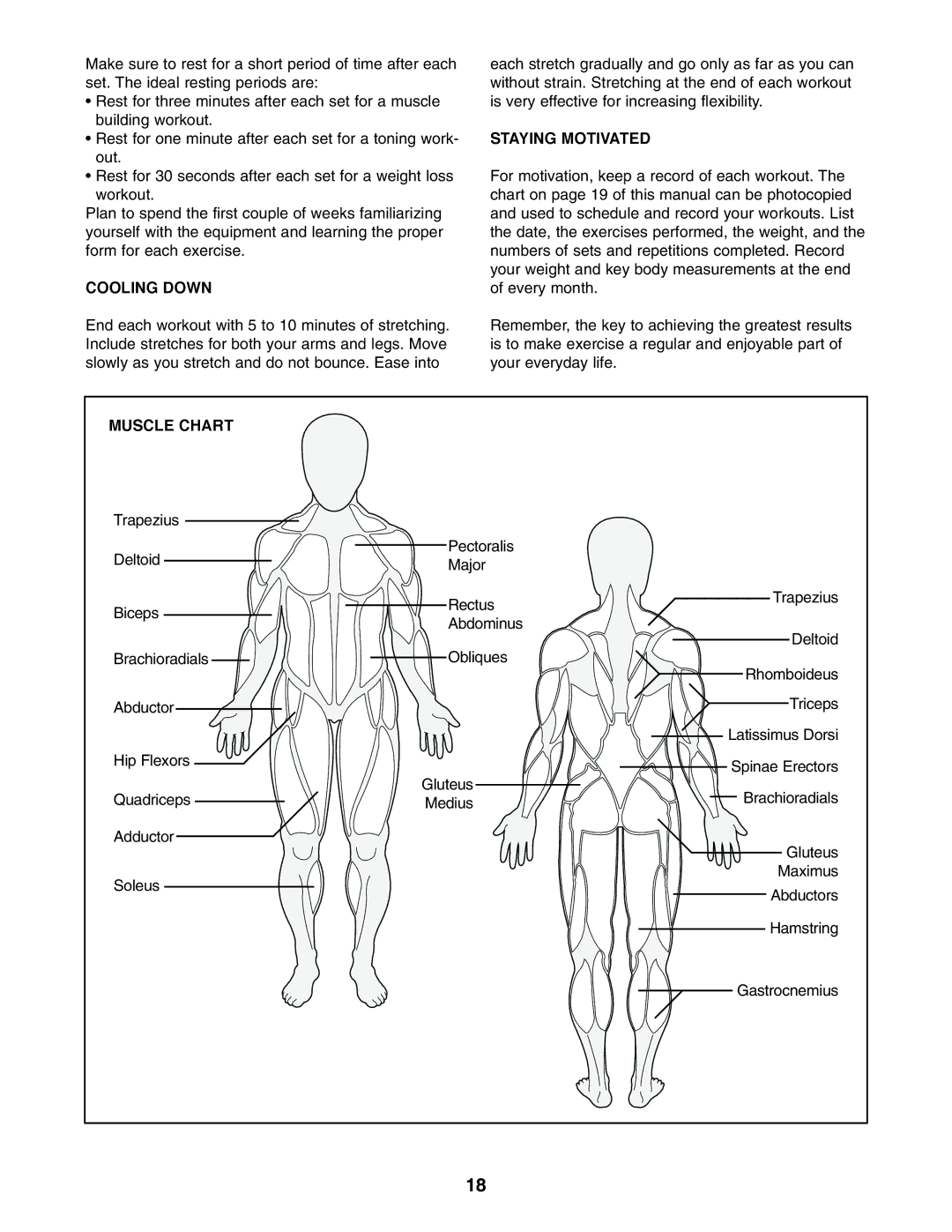 Image IMBE39401 user manual Cooling Down, Staying Motivated, Muscle Chart 