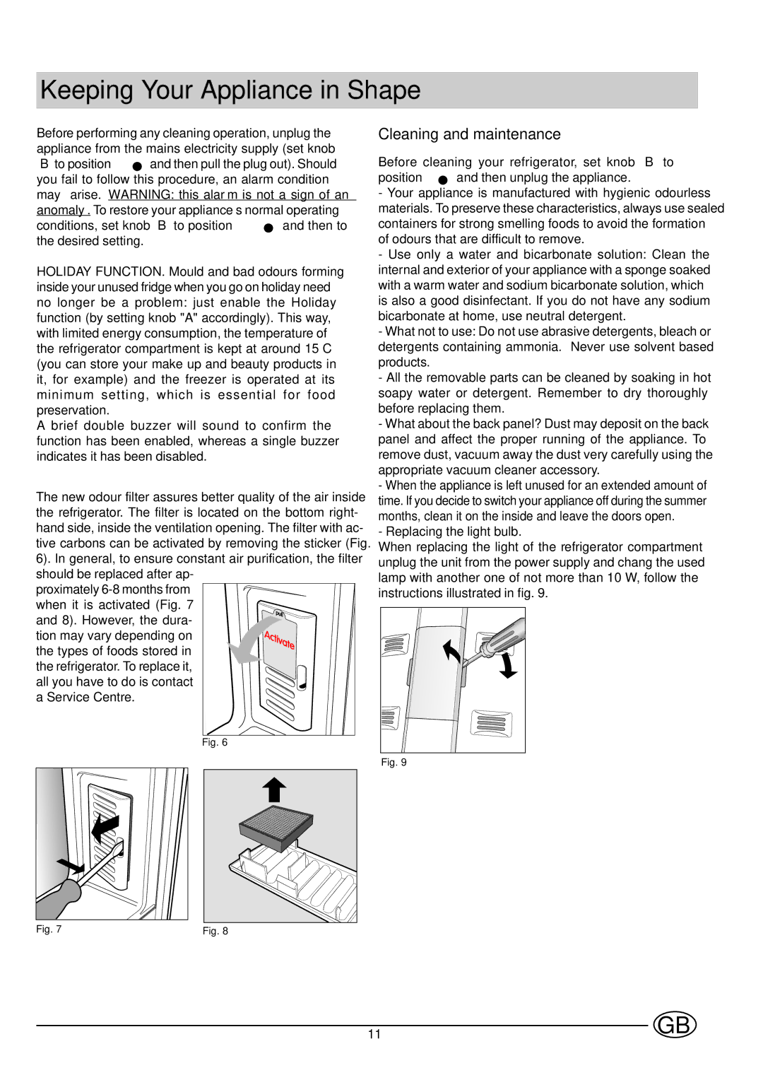 Indesit BA35FNF P manual Keeping Your Appliance in Shape, Cleaning and maintenance 