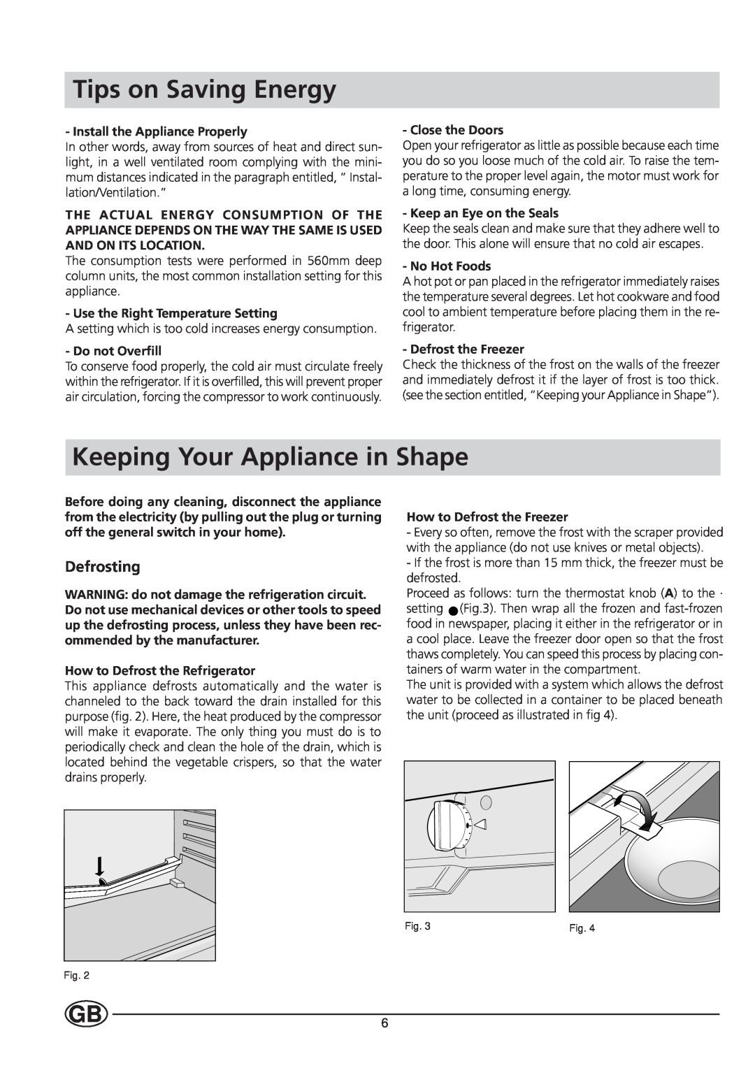 Indesit IN-C 3100 manual Tips on Saving Energy, Keeping Your Appliance in Shape, Defrosting 