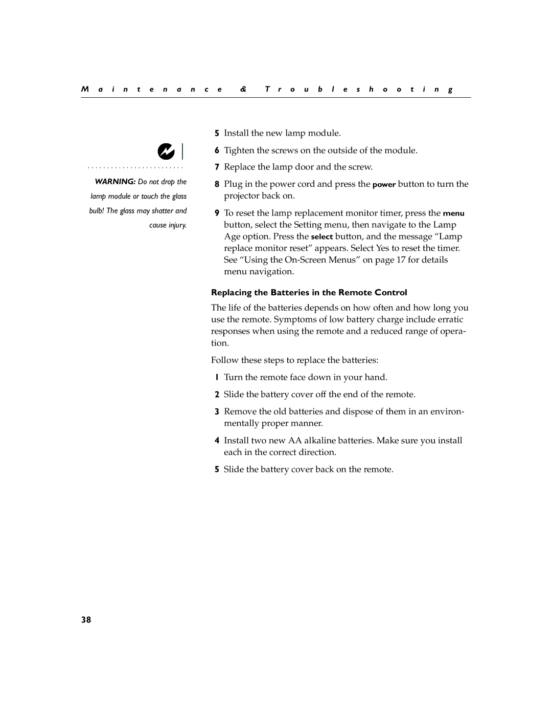 InFocus LP260 manual Replacing the Batteries in the Remote Control 