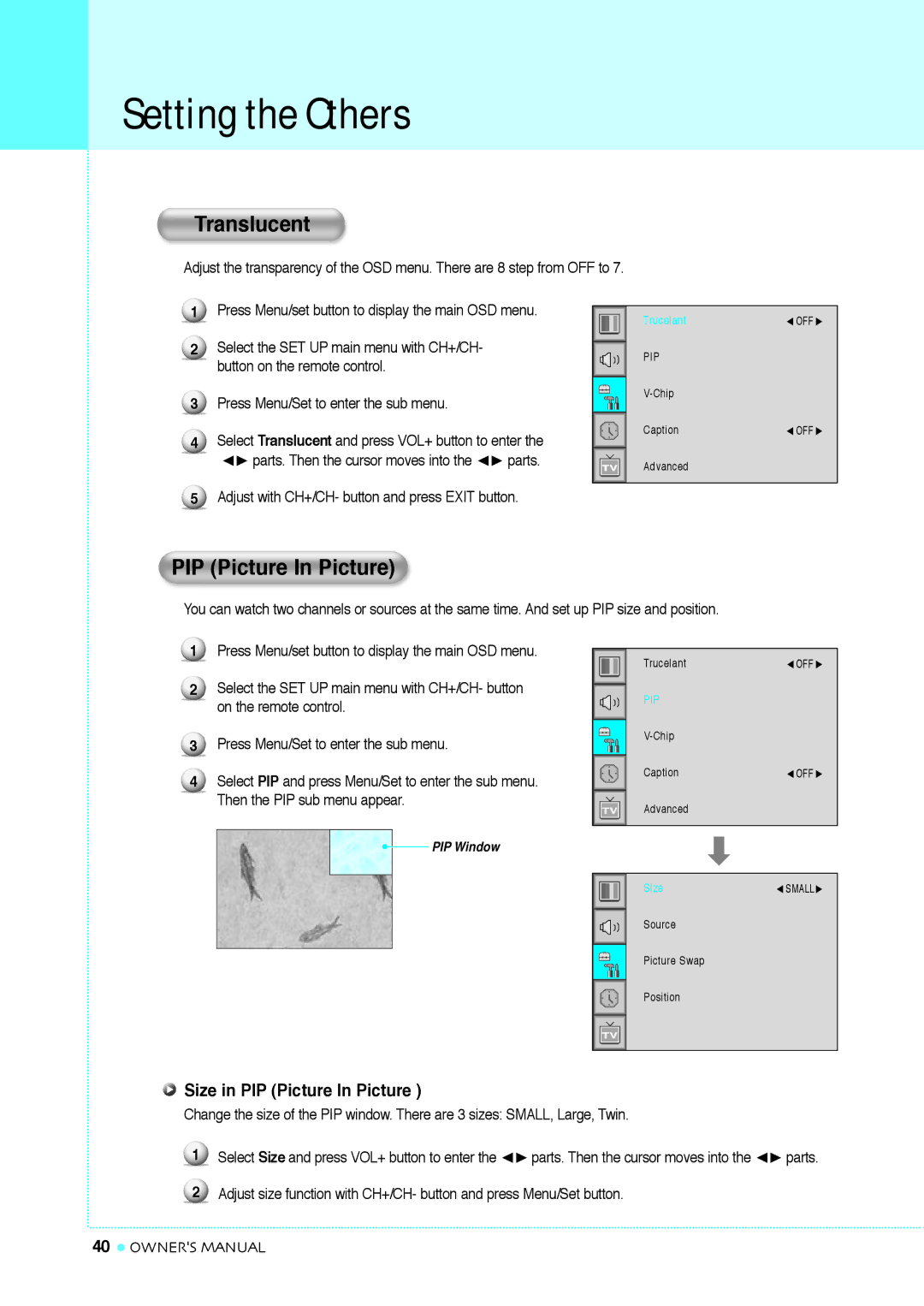 InFocus TD40 NTSC, TD32 manual Setting the Others, Translucent, Size in PIP Picture In Picture 
