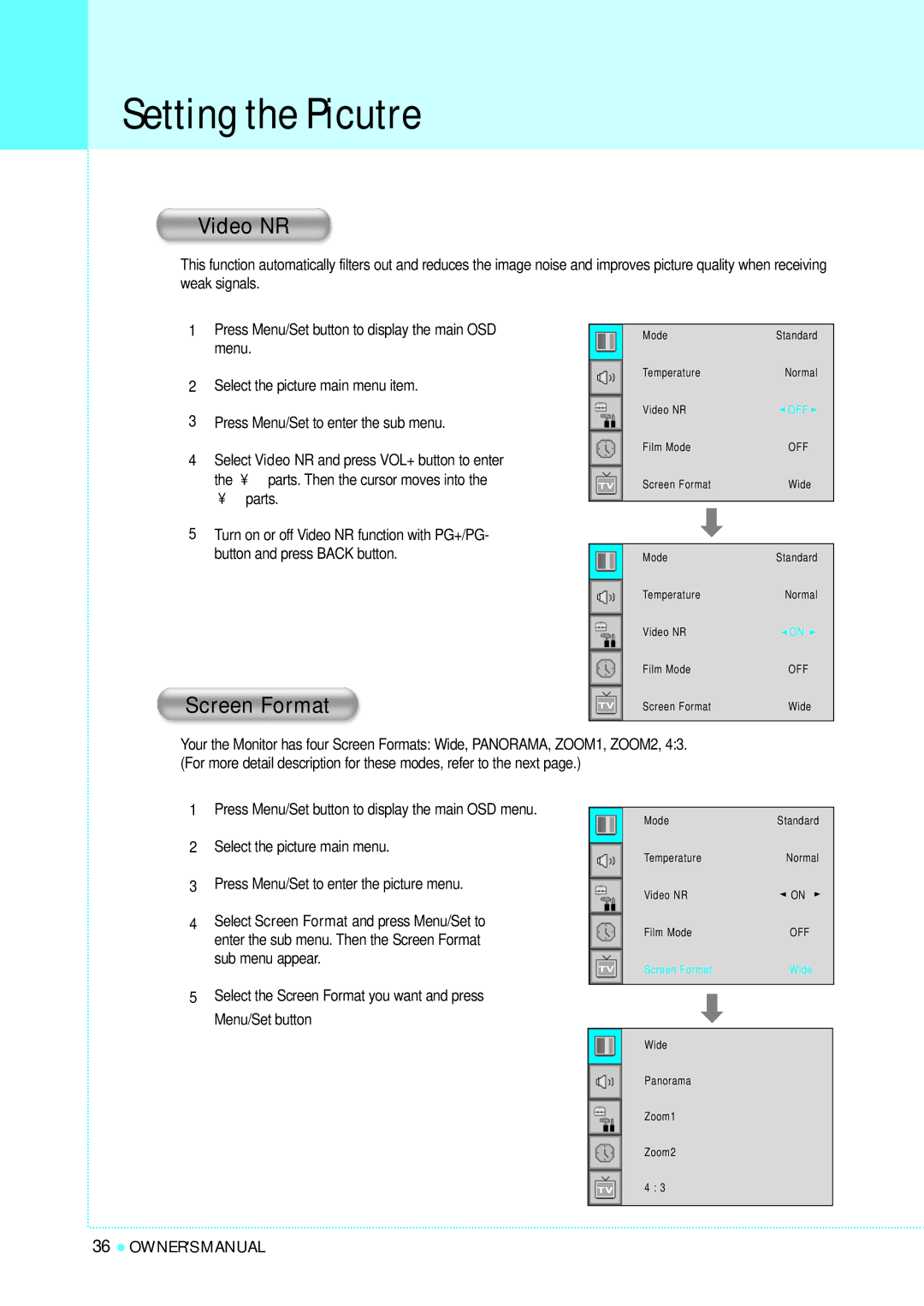 InFocus TD40 PAL manual Setting the Picutre, Video NR, Screen Format 