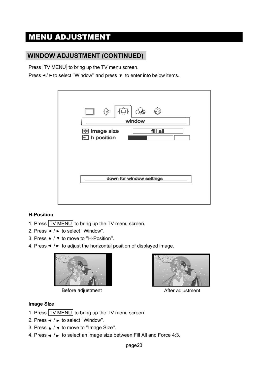 Initial DTV-171 manual Position, Image Size 