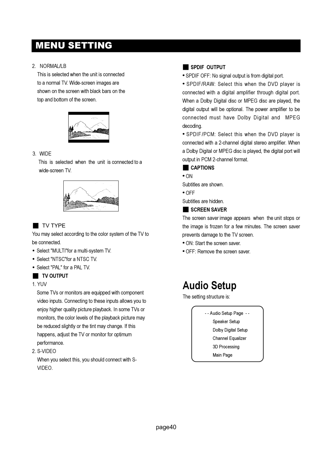 Initial DTV-171 manual Audio Setup 