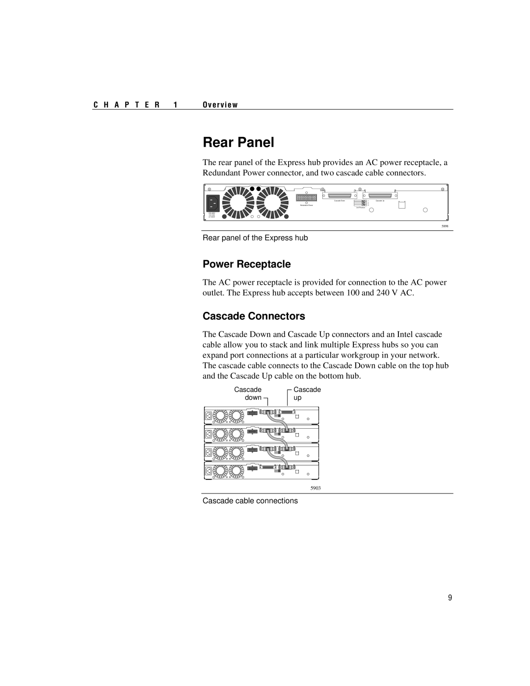 Intel 100BASE-TX manual Rear Panel, Power Receptacle, Cascade Connectors 