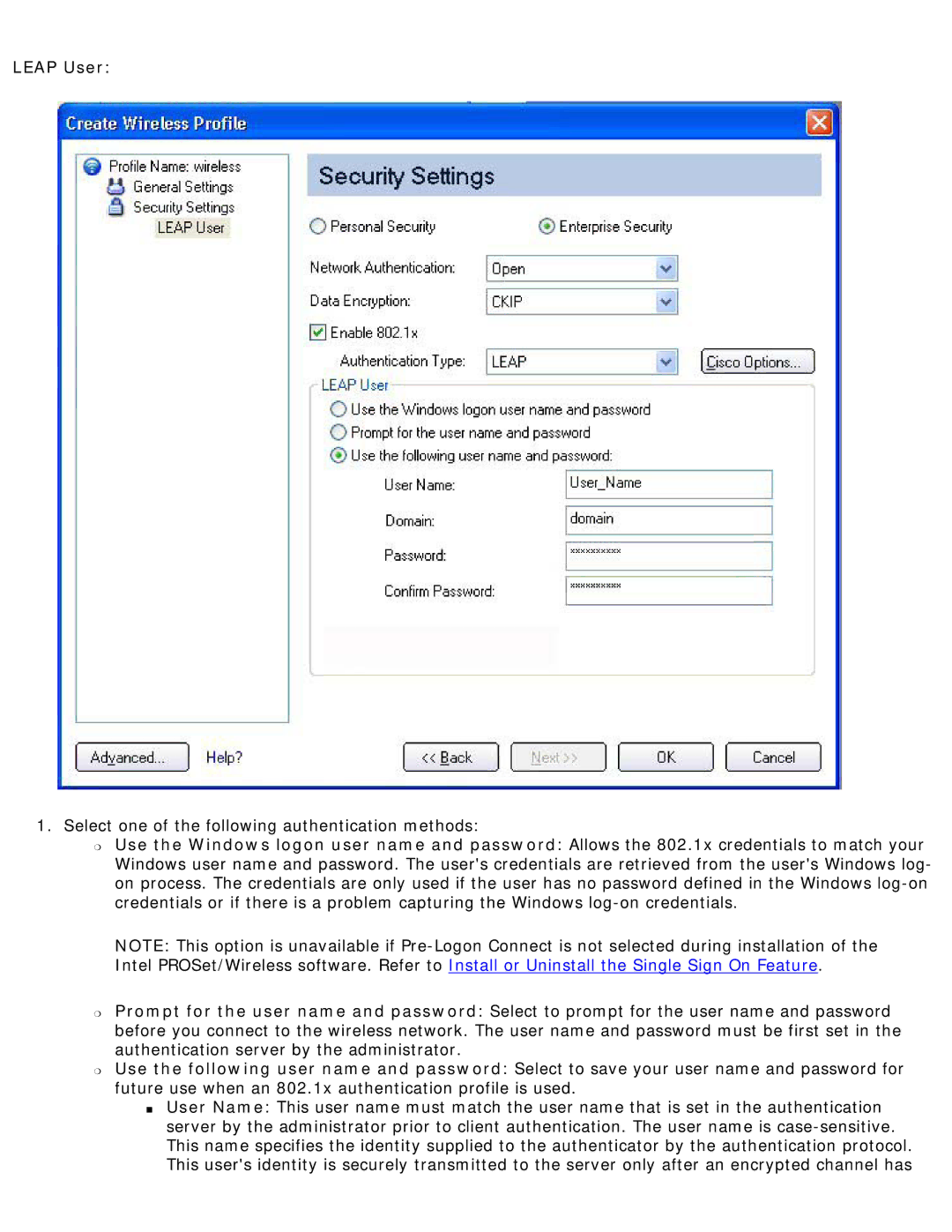 Intel 3945ABG specifications Leap User 