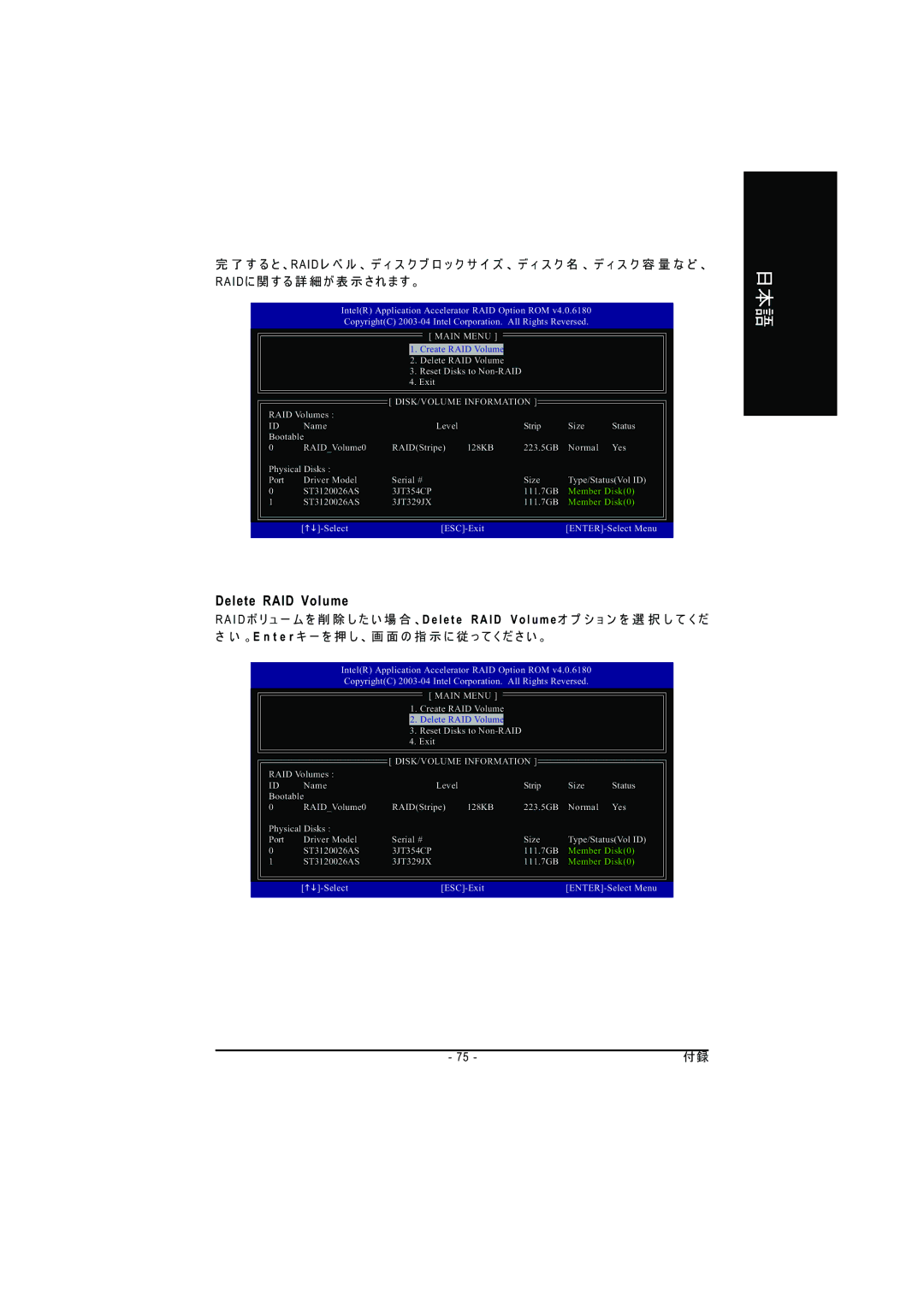 Intel GA-8GPNXP DUO manual Delete RAID Volume 