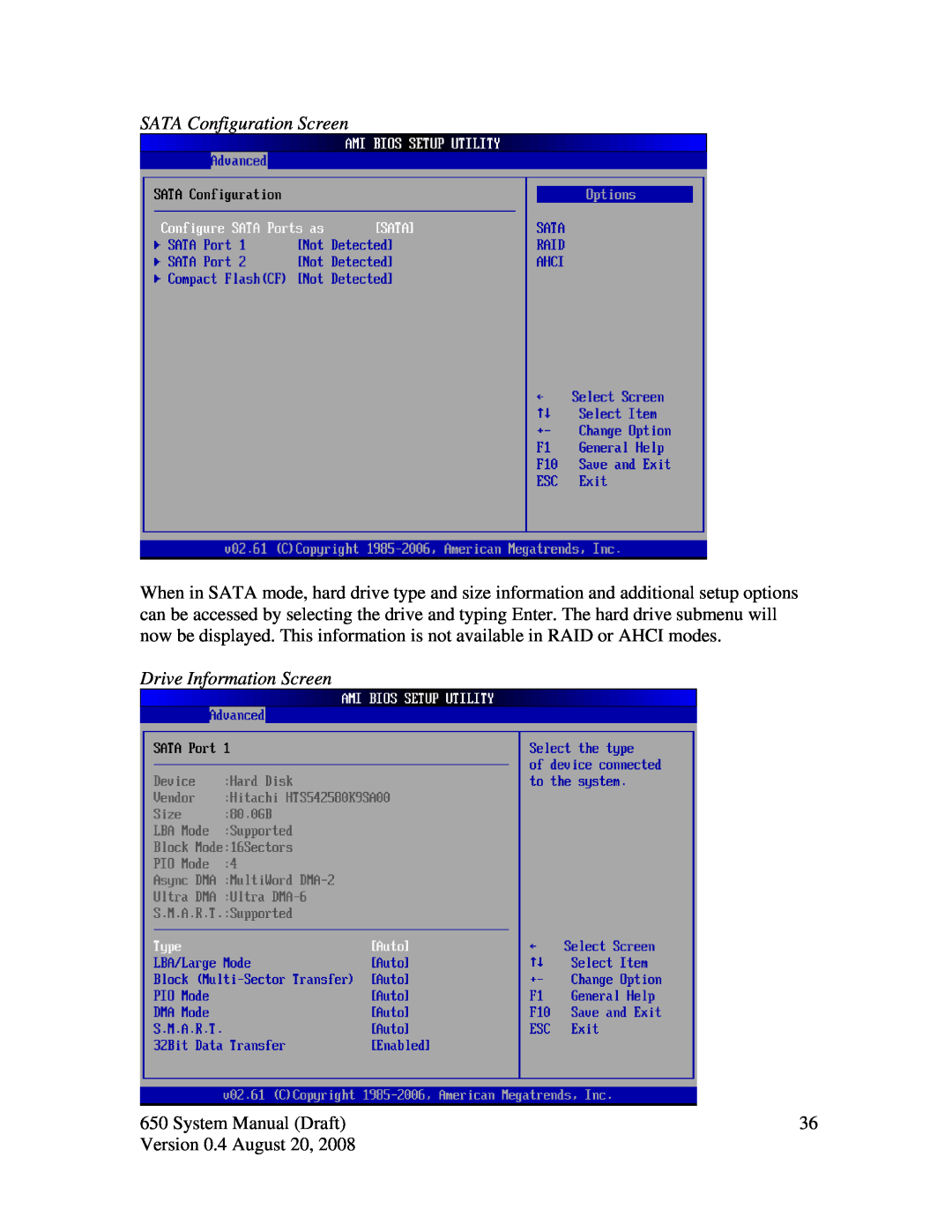 Intel J2 650 system manual SATA Configuration Screen, Drive Information Screen, System Manual Draft, Version 0.4 August 20 
