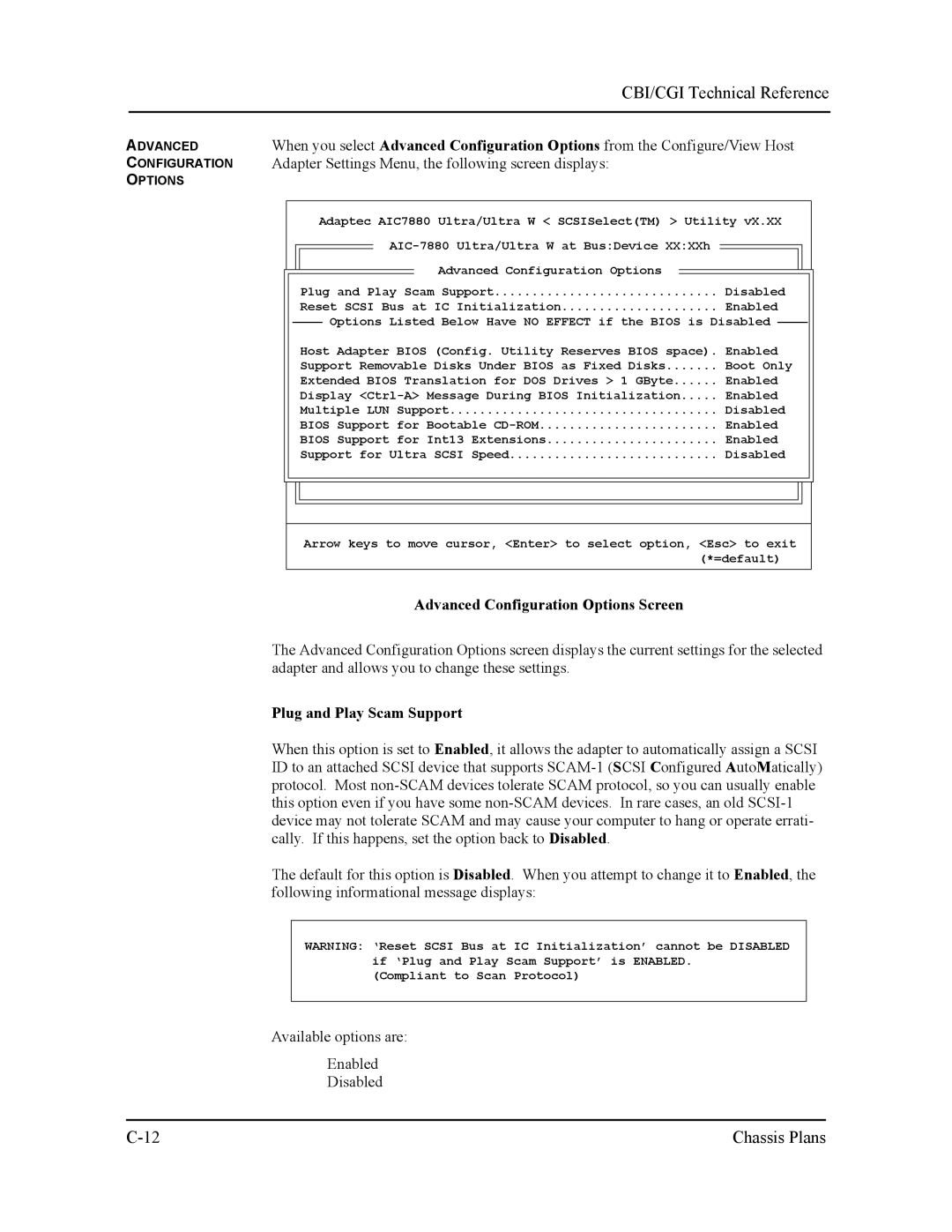 Intel S5721-xxx manual Adapter Settings Menu, the following screen displays, Advanced Configuration Options Screen 