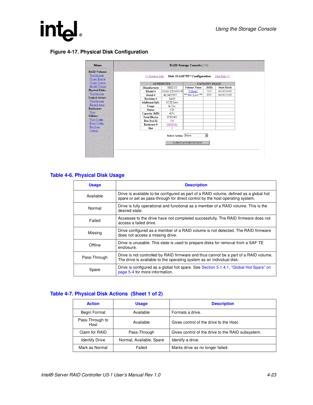 Intel SRCU31 user manual Physical Disk Usage, Physical Disk Actions Sheet 1, Action Usage Description 