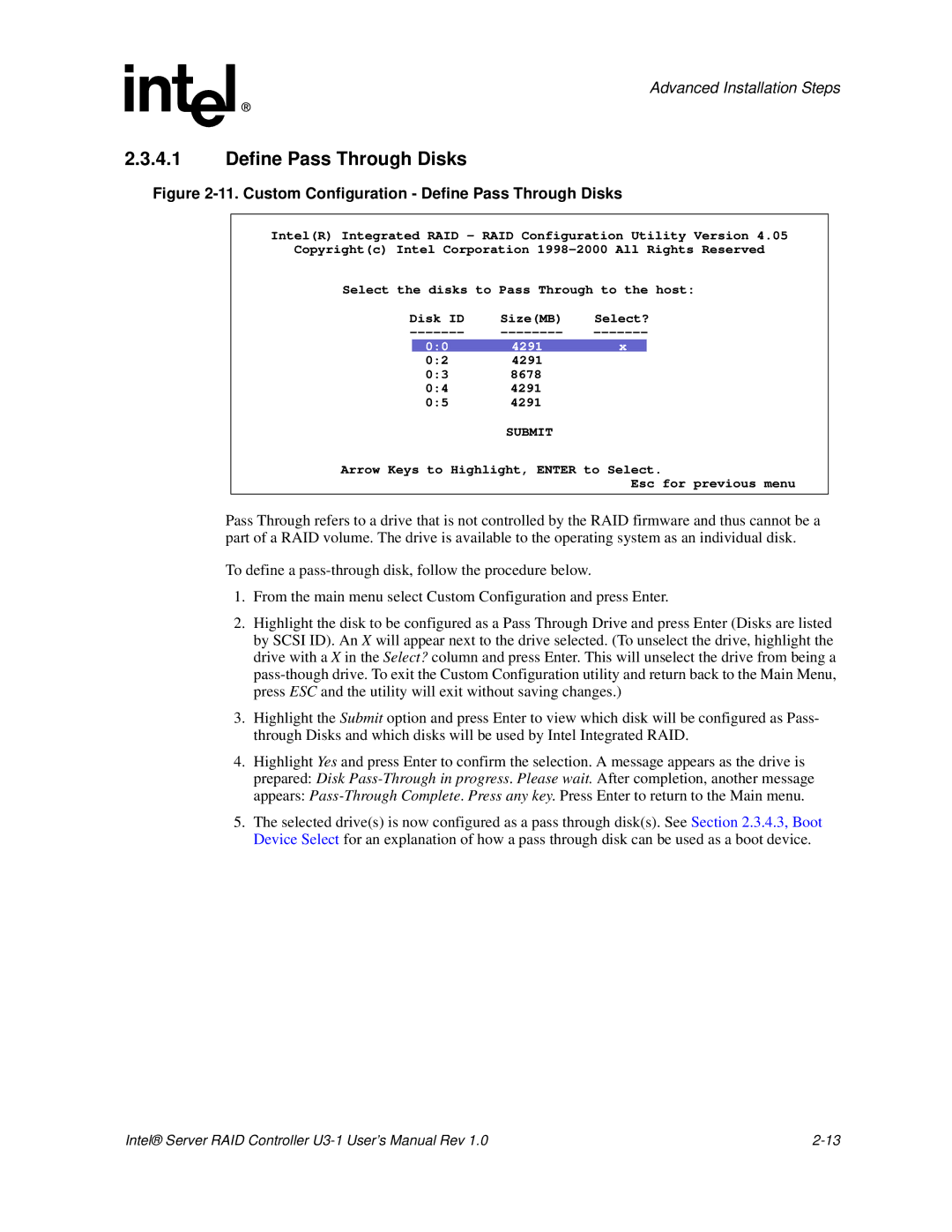 Intel SRCU31 user manual Custom Configuration Define Pass Through Disks 