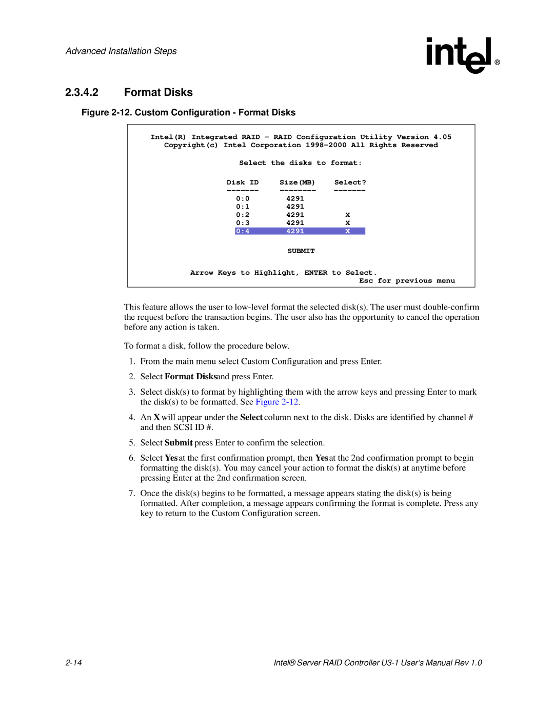 Intel SRCU31 user manual Custom Configuration Format Disks 