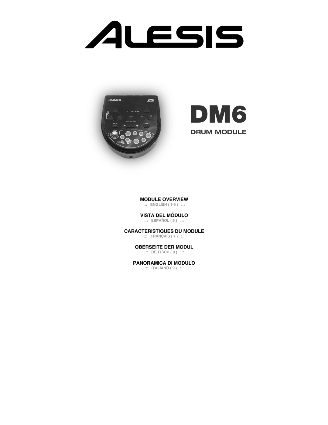 ION DM6 manual 