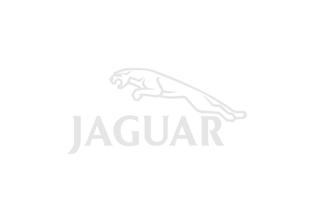 Jaguar JJM 18 03 24/22 manual 