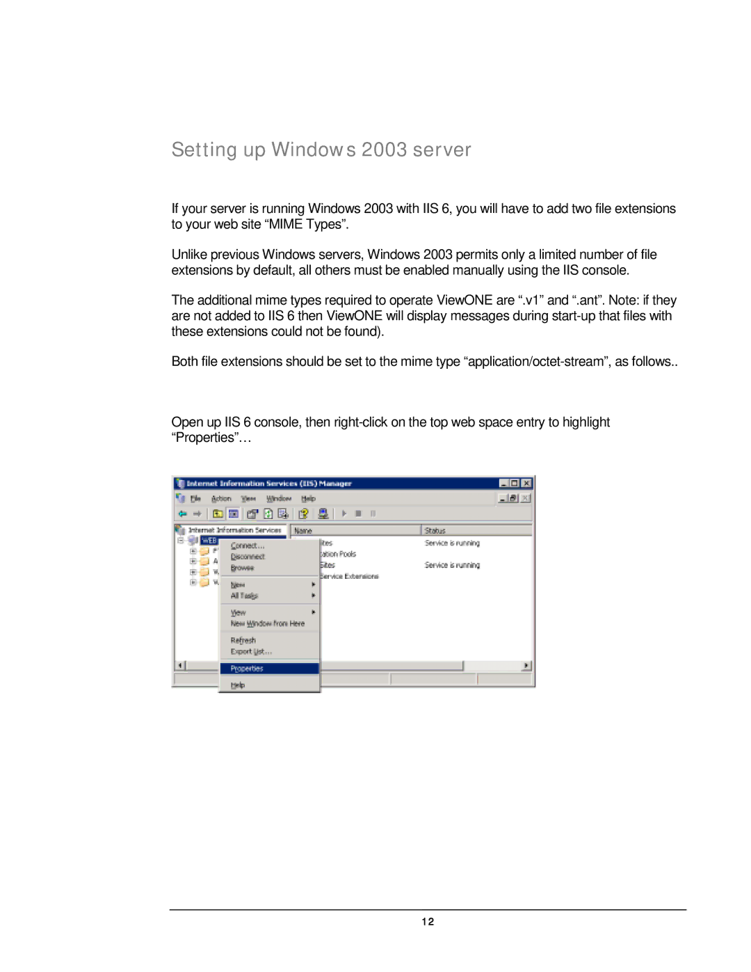 JAVA Tech VERSION 3.0 manual Setting up Windows 2003 server 