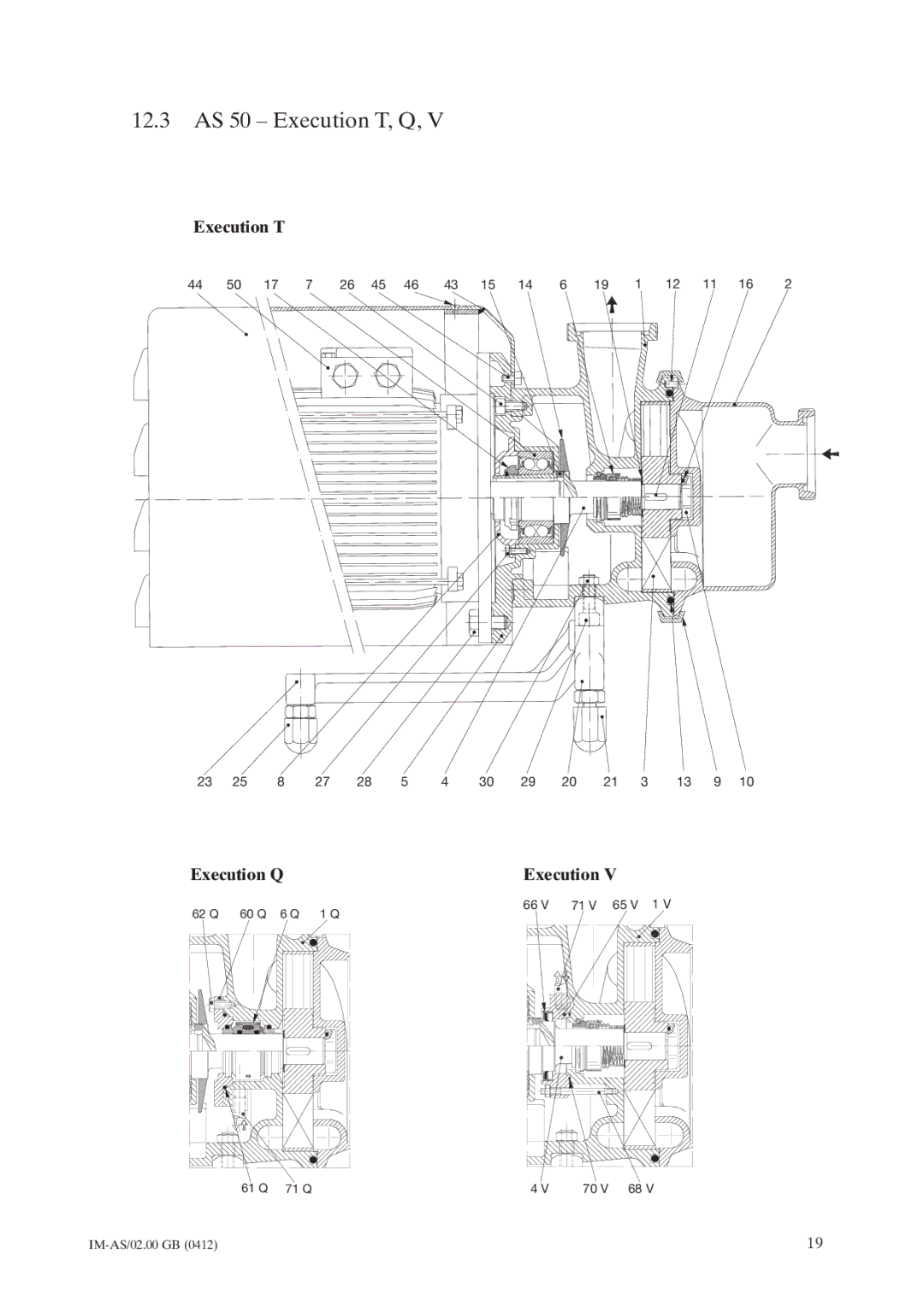 Johnson Controls instruction manual 12.3 AS 50 Execution T, Q 