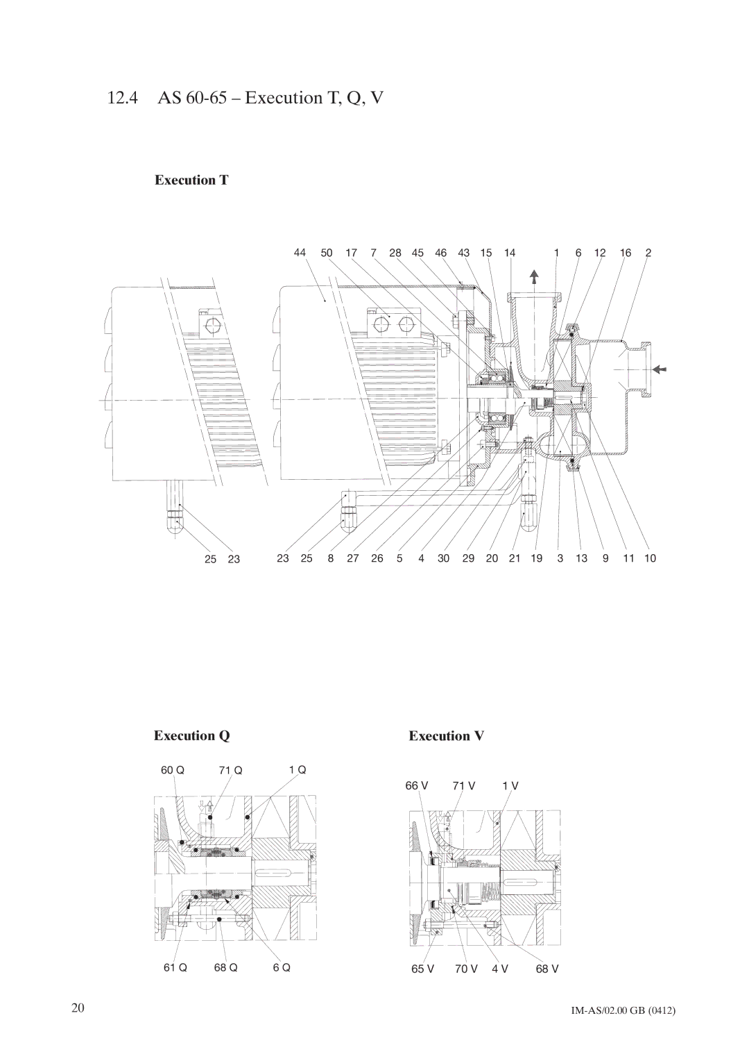 Johnson Controls instruction manual 12.4 AS 60-65 Execution T, Q 