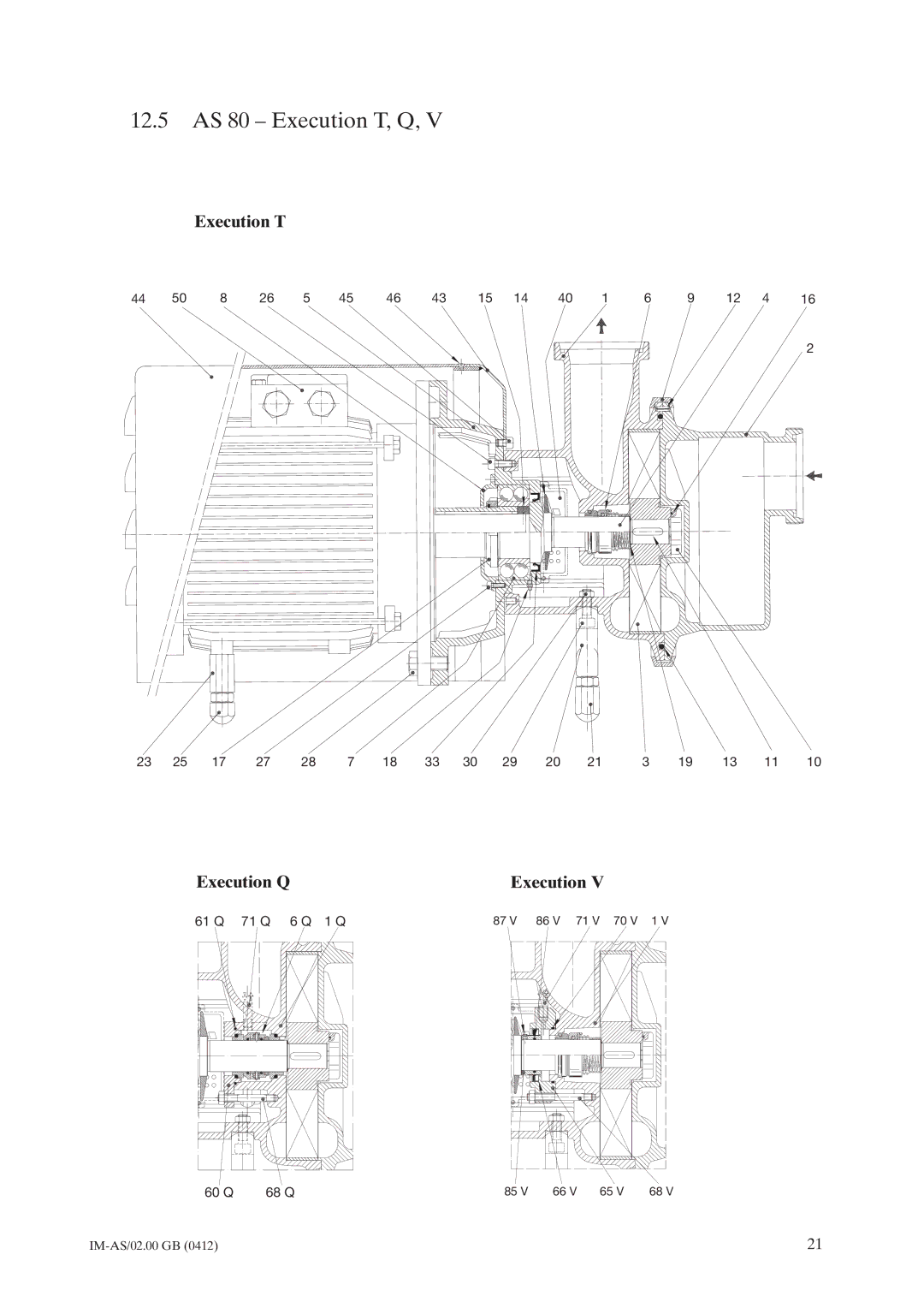 Johnson Controls instruction manual 12.5 AS 80 Execution T, Q 