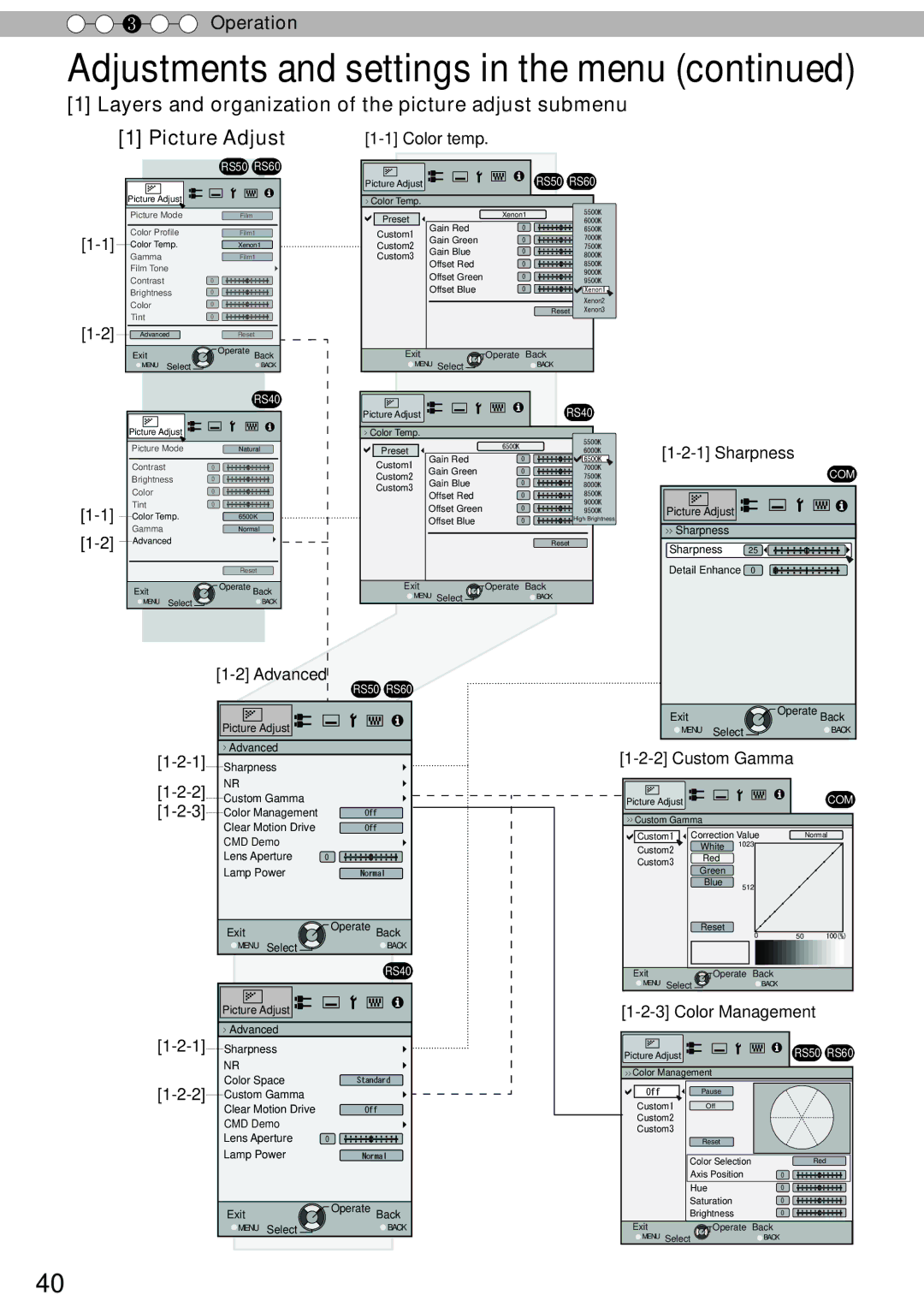 JVC DLA-RS60, DLA-RS40, DLA-RS50 manual Advanced, Custom Gamma, Color Management 